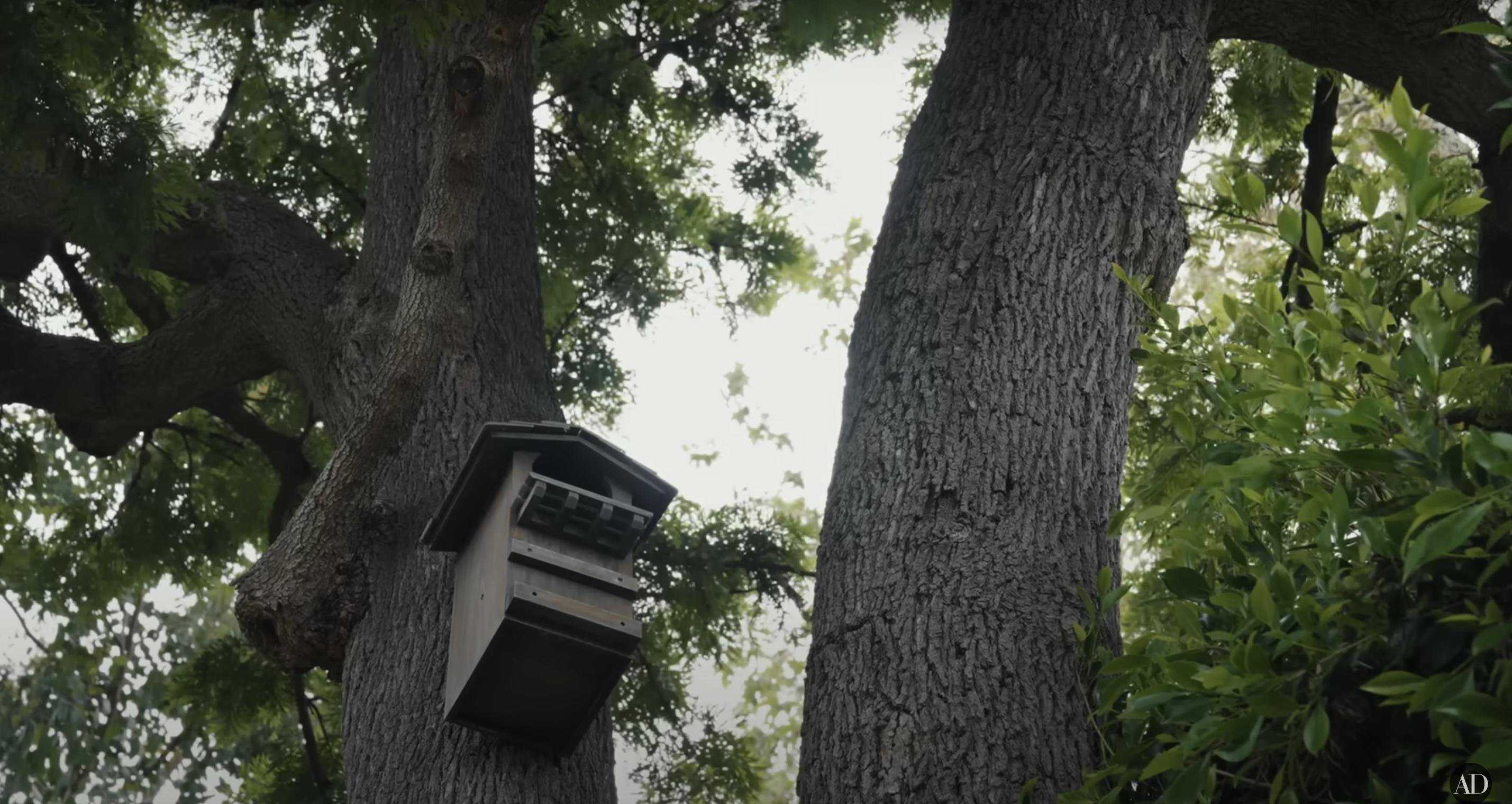 The area outside La bibliothèque de Jennifer Garner, datée du 3 septembre 2024 | Source : YouTube/@Archdigest