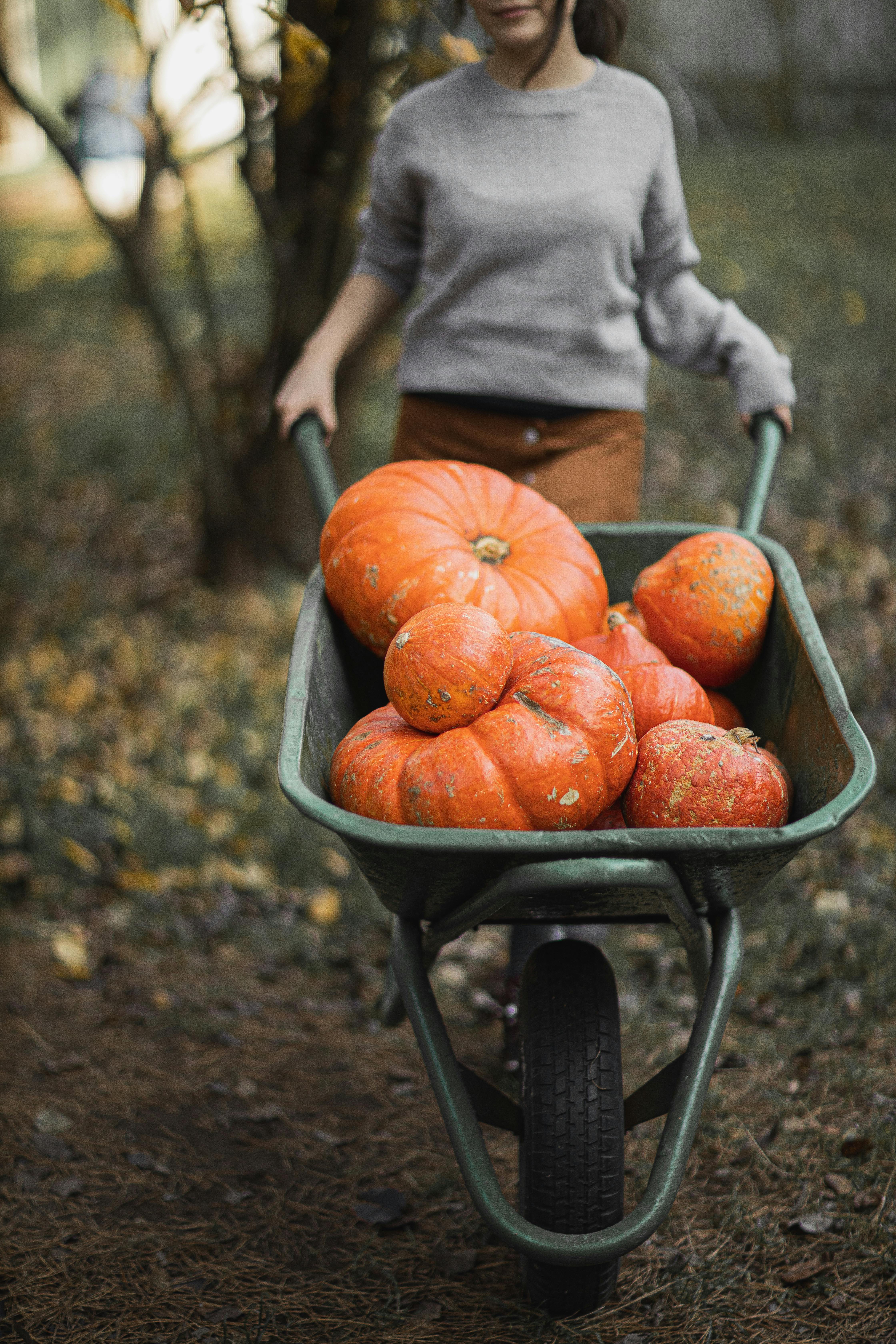 Une femme avec une brouette | Source : Pexels