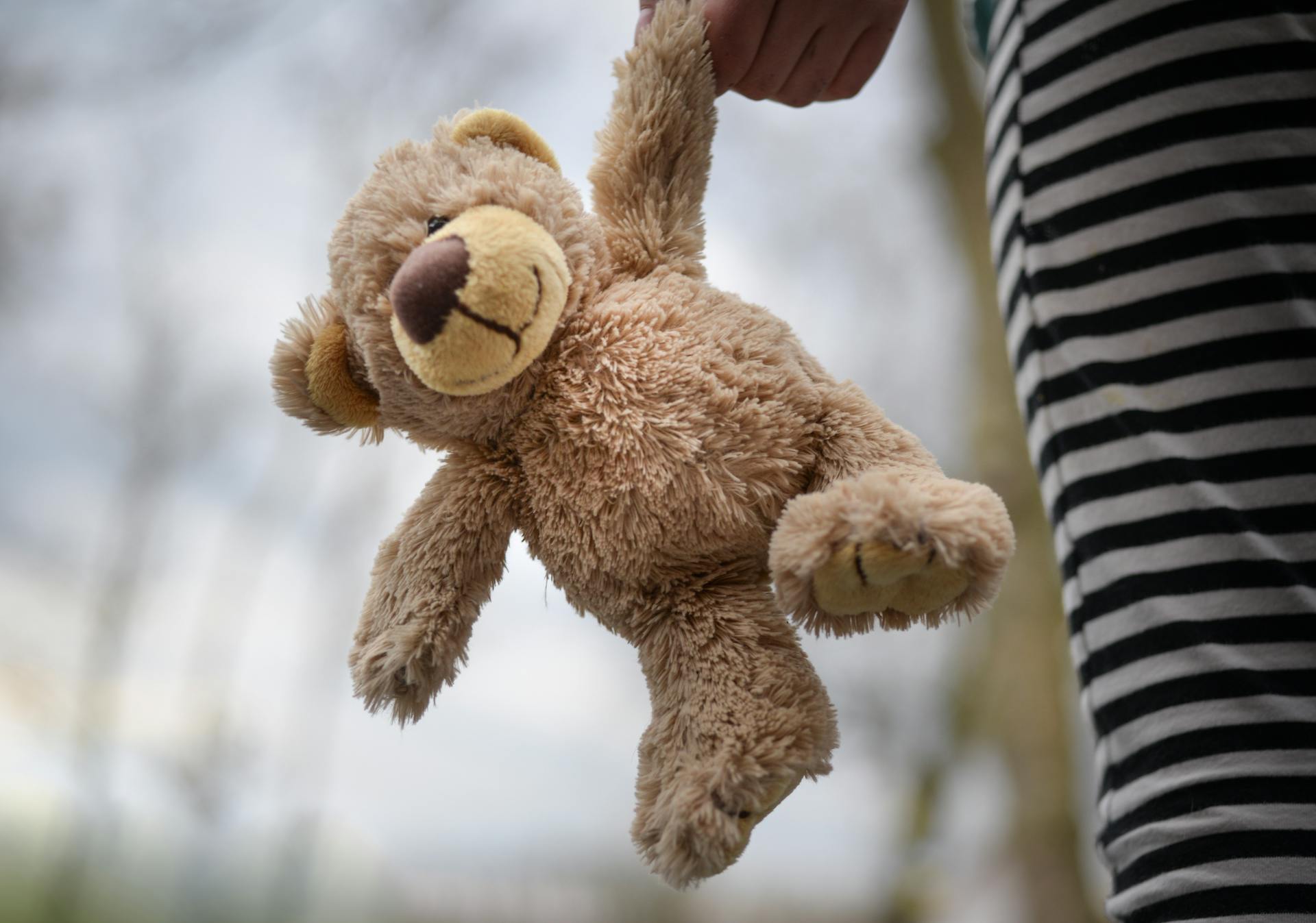 Une fille tenant un ours en peluche | Source : Pexels