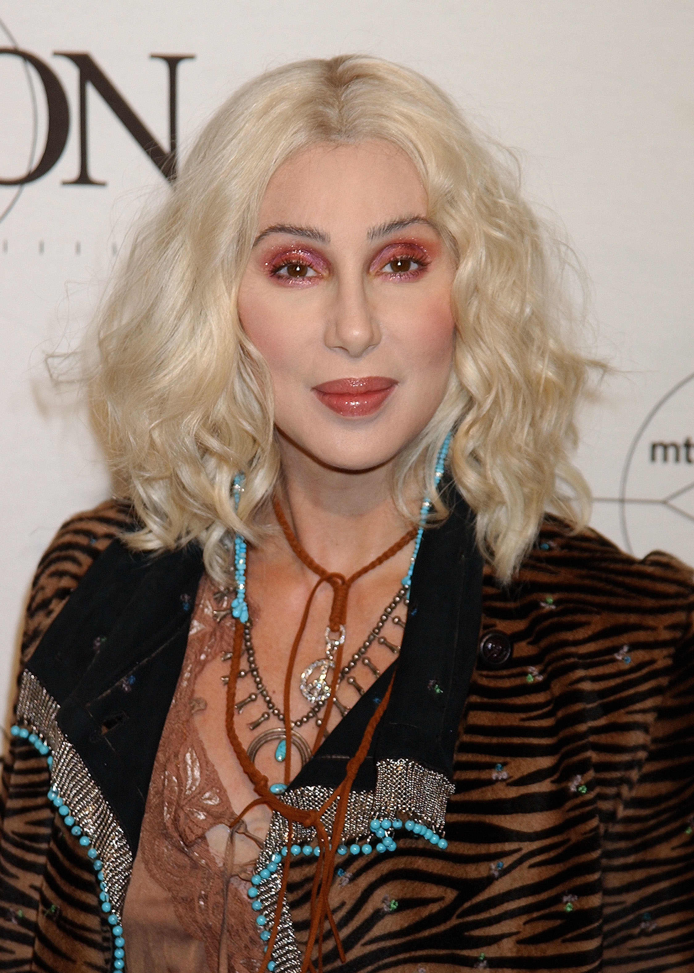 Cher au Sony Pictures Studios à Culver City, Californie, le 14 avril 2002 | Source : Getty Images