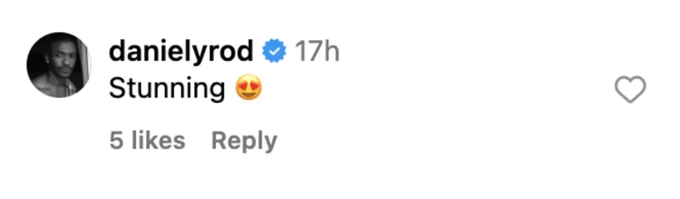 Un fan commente le post de Cher | Source : Instagram/cher