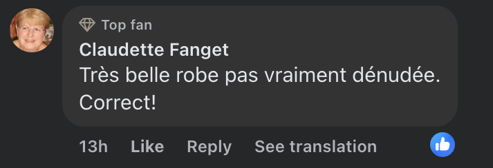 Commentaire d'internaute sur le look d'Iris Mittenaere | Source : capture facebook.com/gala.fr