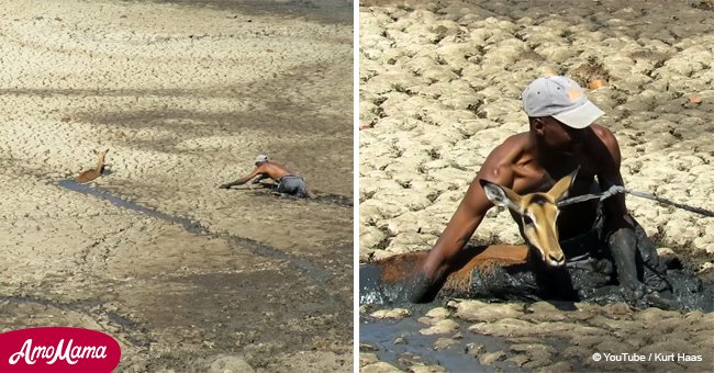Cet homme risque sa propre vie pour sauver une créature sans défense coincée dans la boue