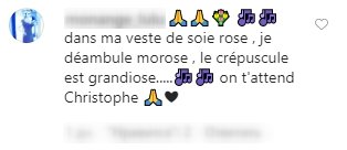 Commentaire d'un fan pour soutenir Christophe. | Photo : Instagram/raphaelharoche 