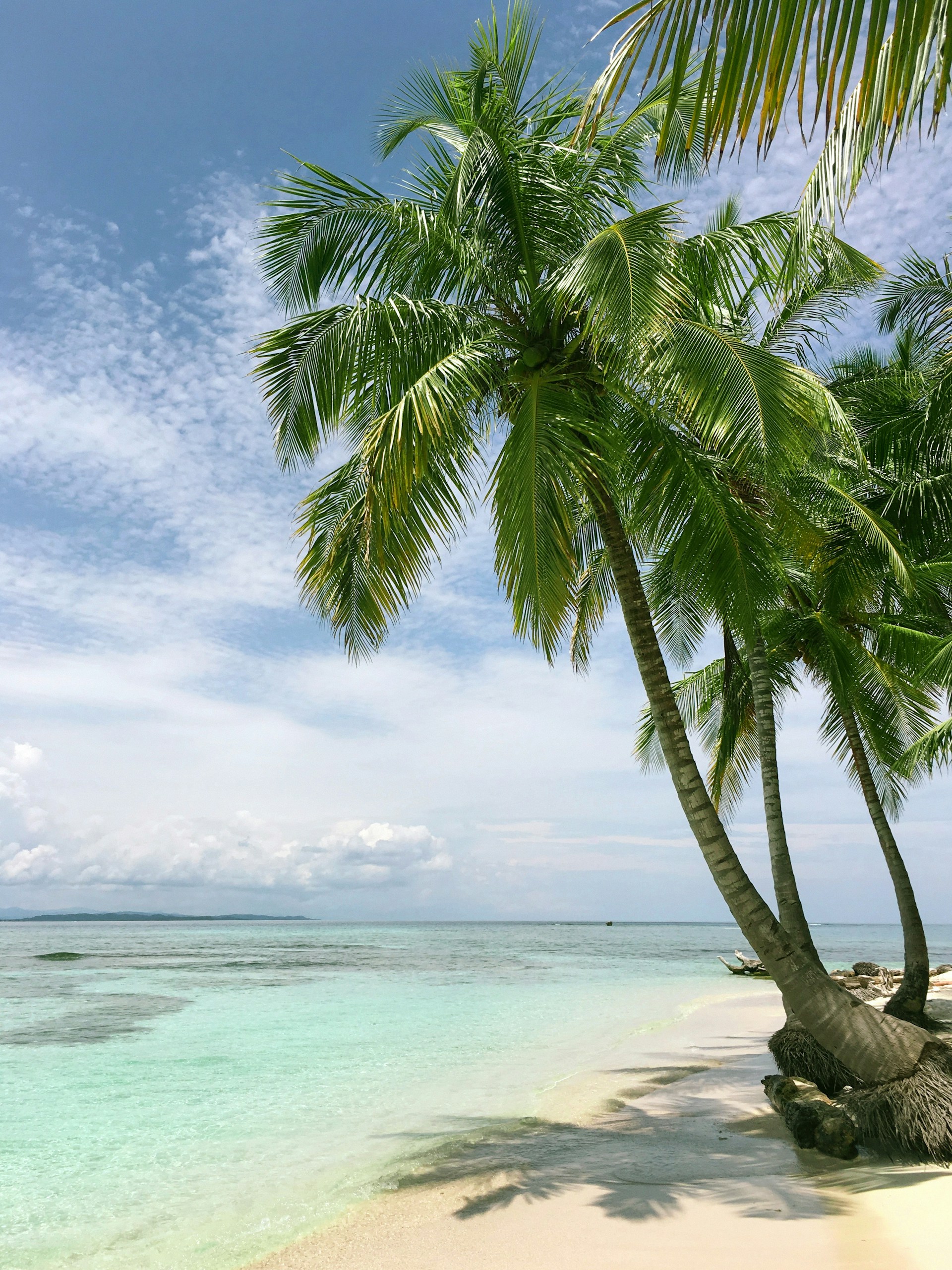 Une plage | Source : Unsplash