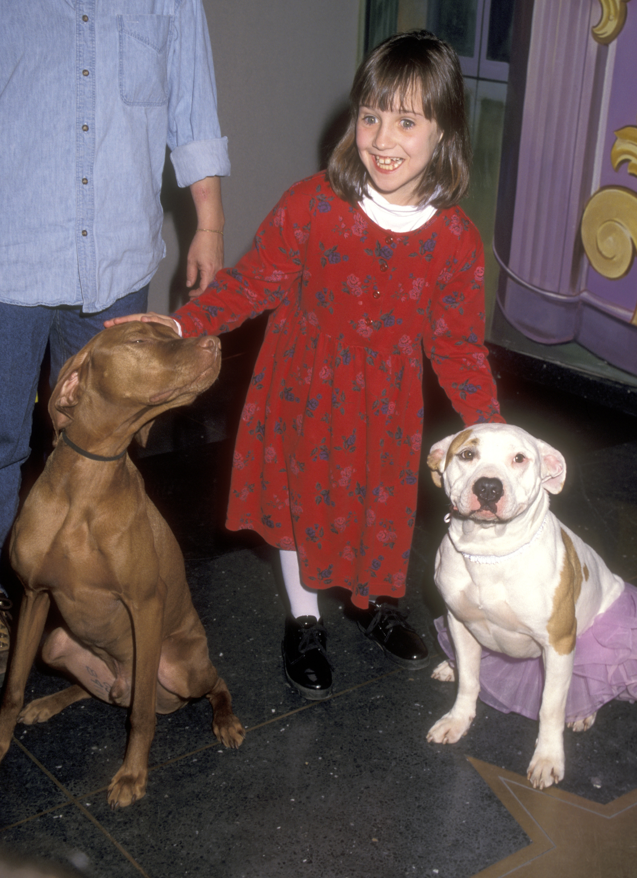 Mara Wilson au festival du film familial M&amp;M's Candies Hollywood for Children le 8 avril 1996 | Source : Getty Images