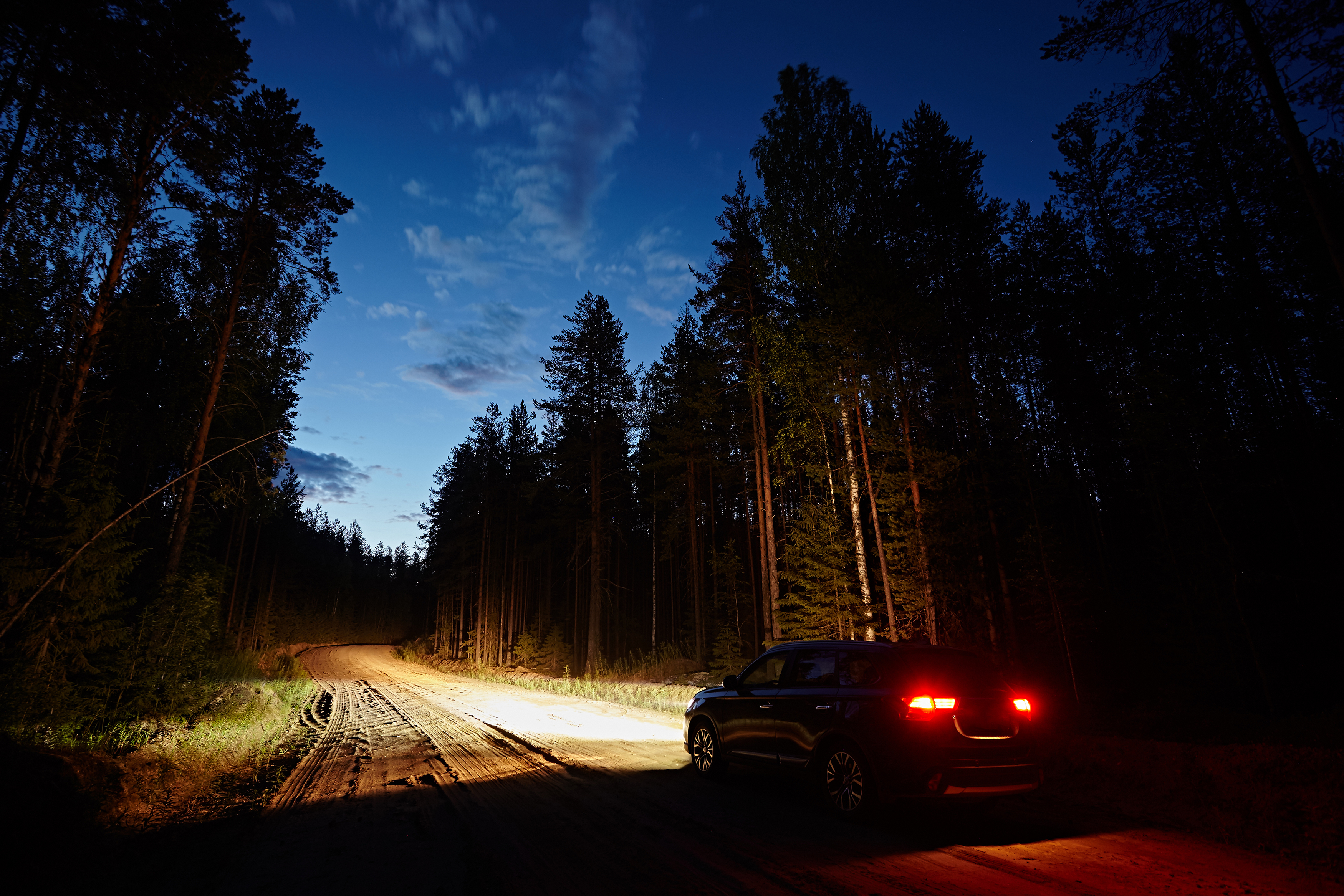 Une voiture roulant sur un chemin de terre dans les bois | Source : Shutterstock