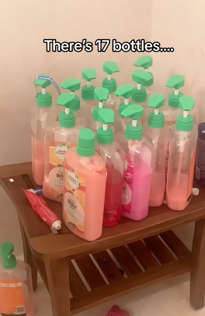 Elle a compté et trouvé 17 bouteilles au total. | Source : TikTok.com/@missmcnallyyy