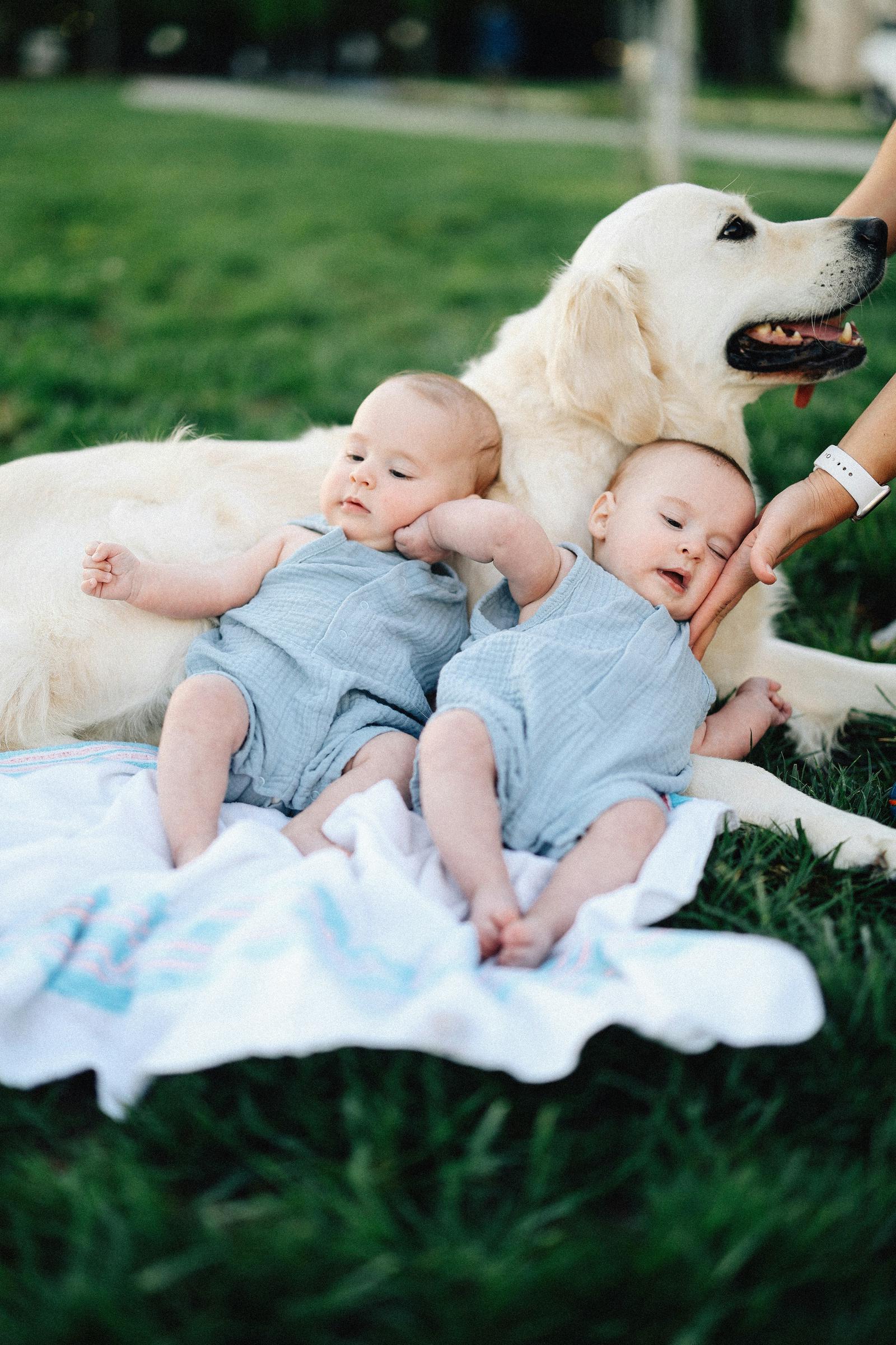 Enfants couchés sur un chien | Source : Unsplash