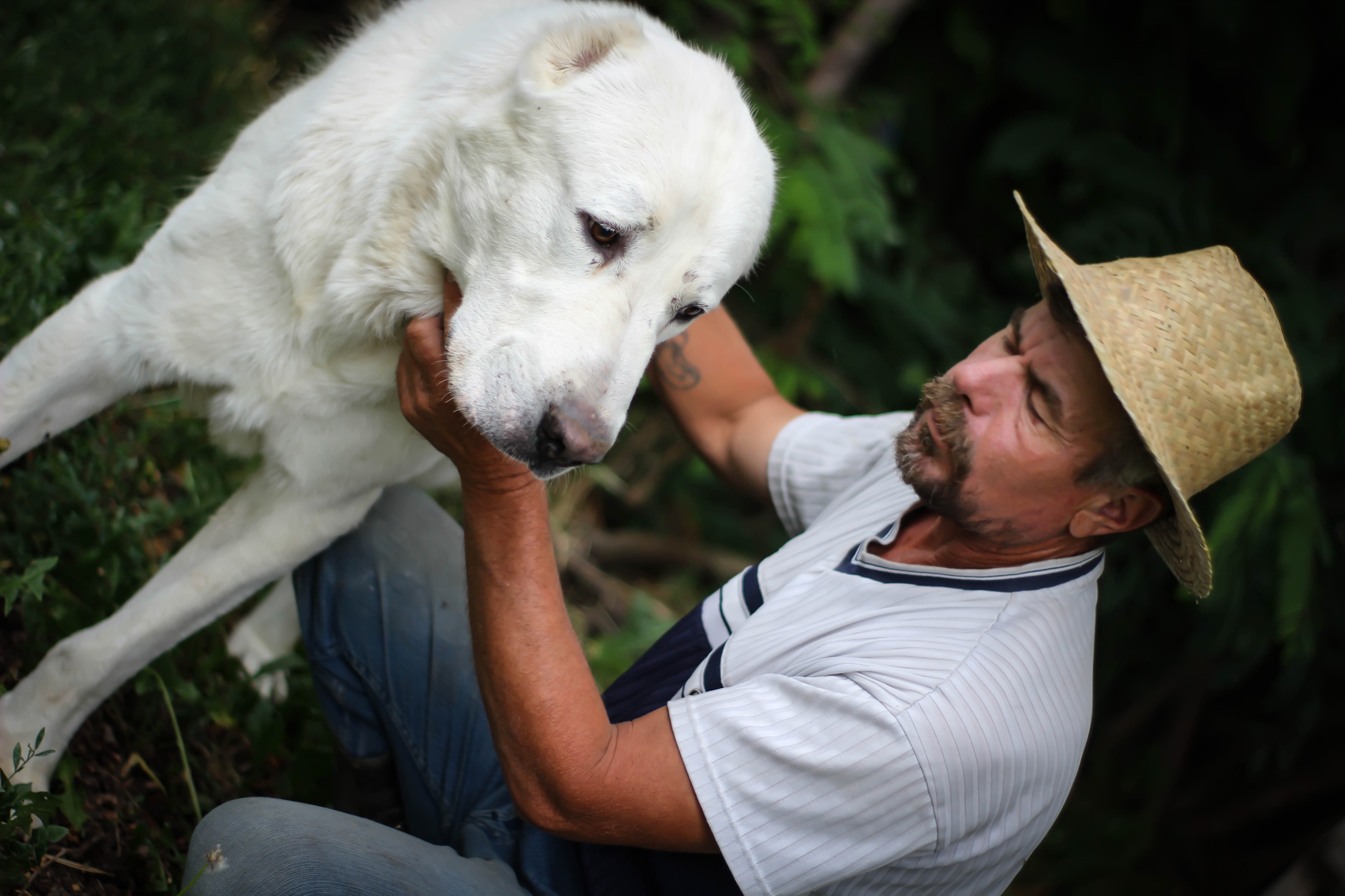 Un homme avec son chien | Source : Getty Images