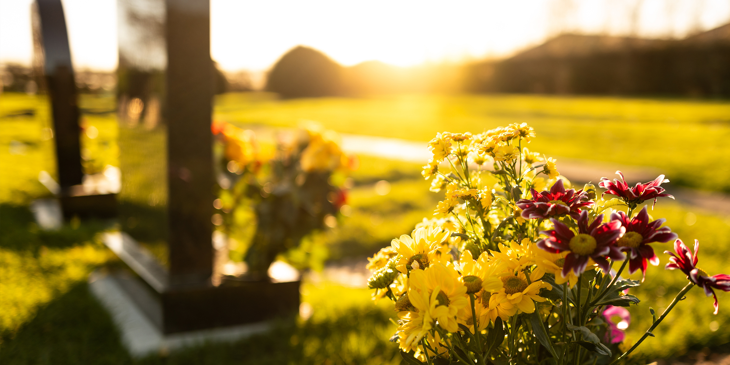 Un cimetière | Source : Shutterstock