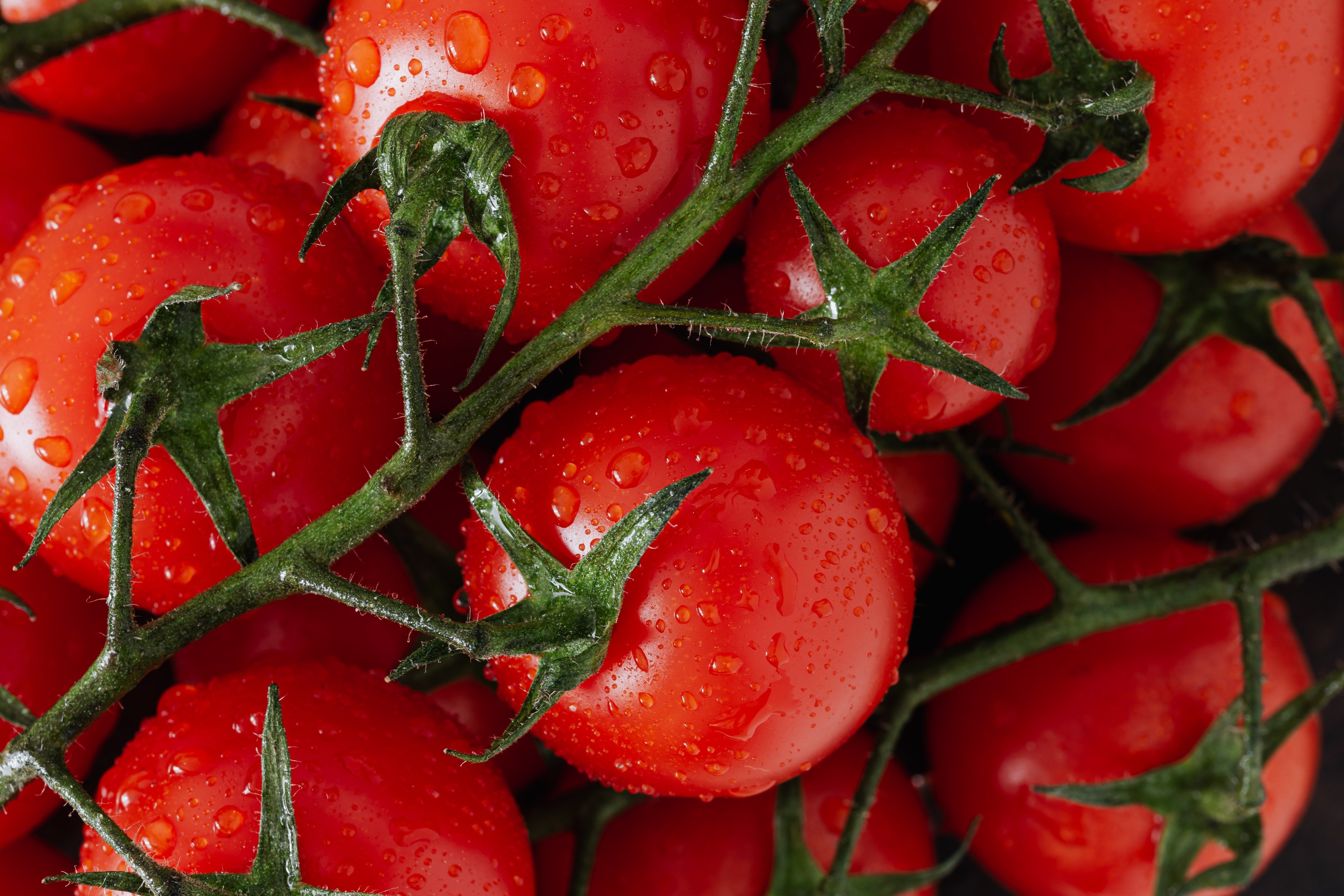 Des tomates. | Photo : Pexels