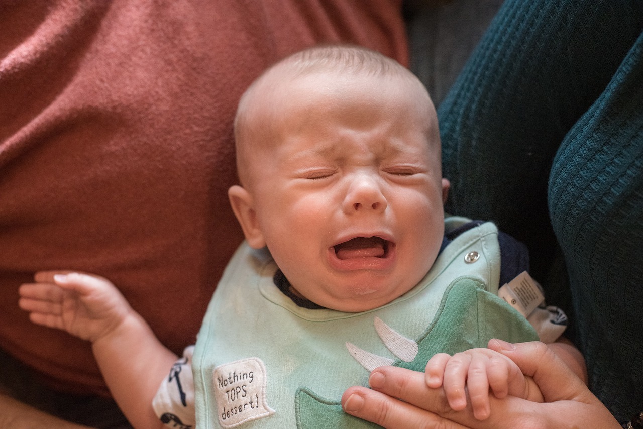 Un bébé qui pleure dans les bras de sa mère | Source : Pixabay