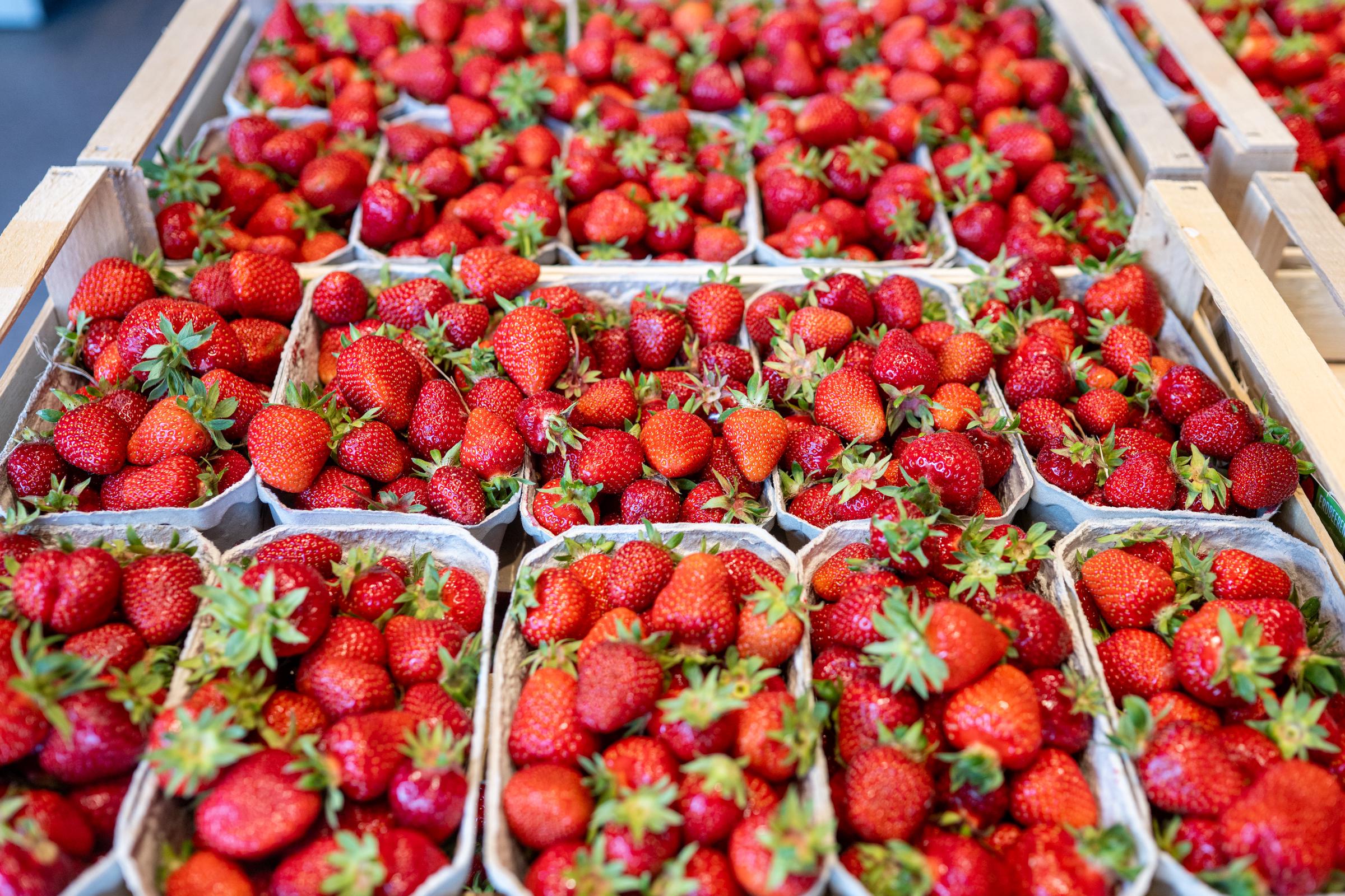Fraises proposées à la vente en barquettes, | Source : Getty Images