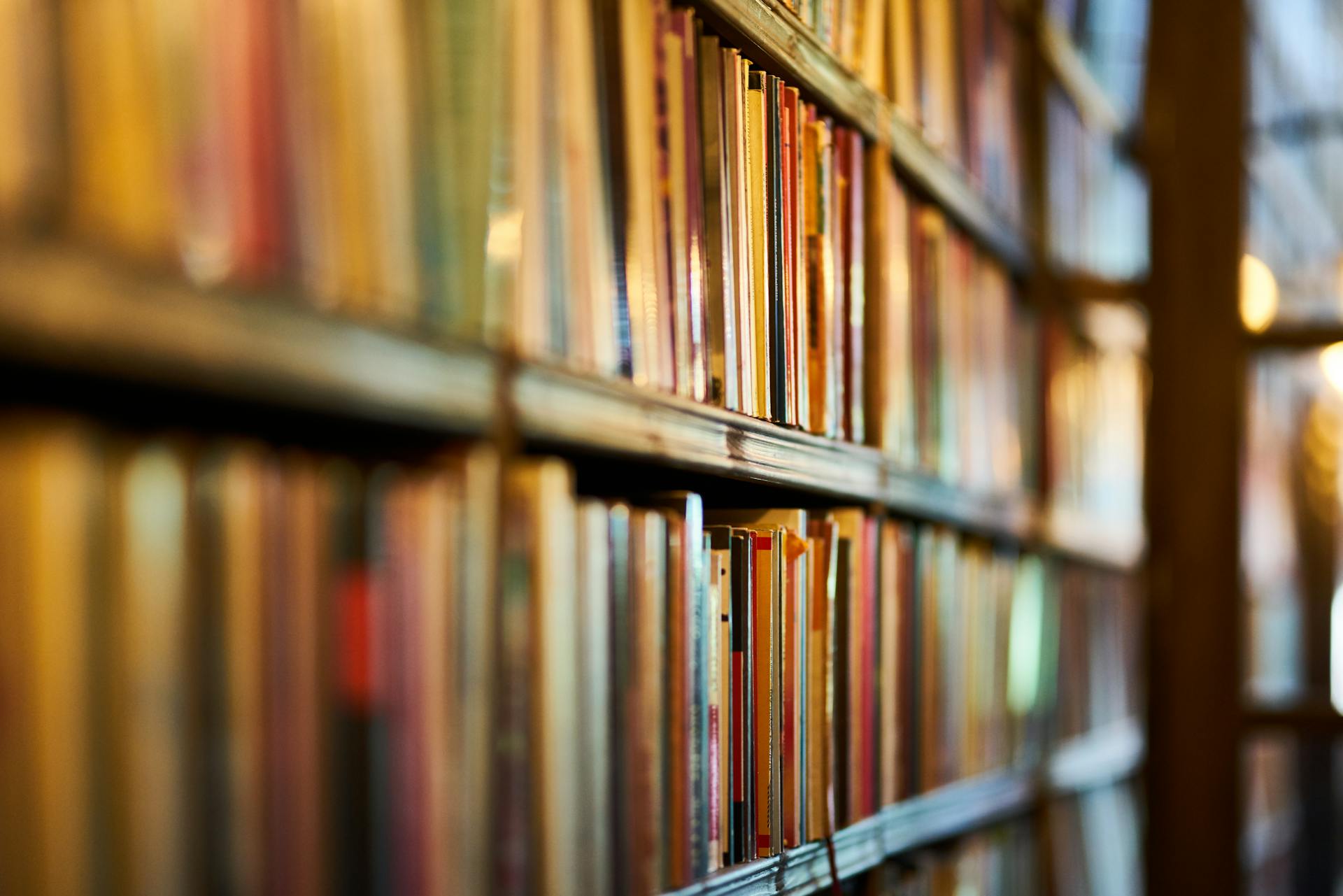 Un gros plan de livres | Source : Pexels
