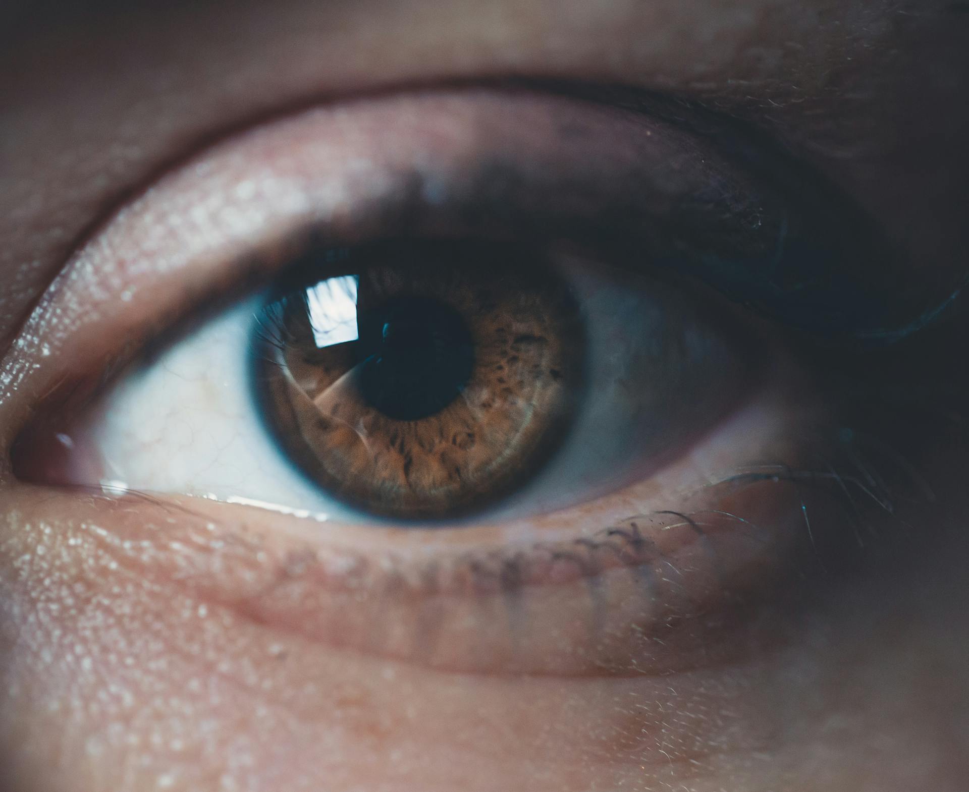 Gros plan sur l'œil d'une femme | Source : Pexels