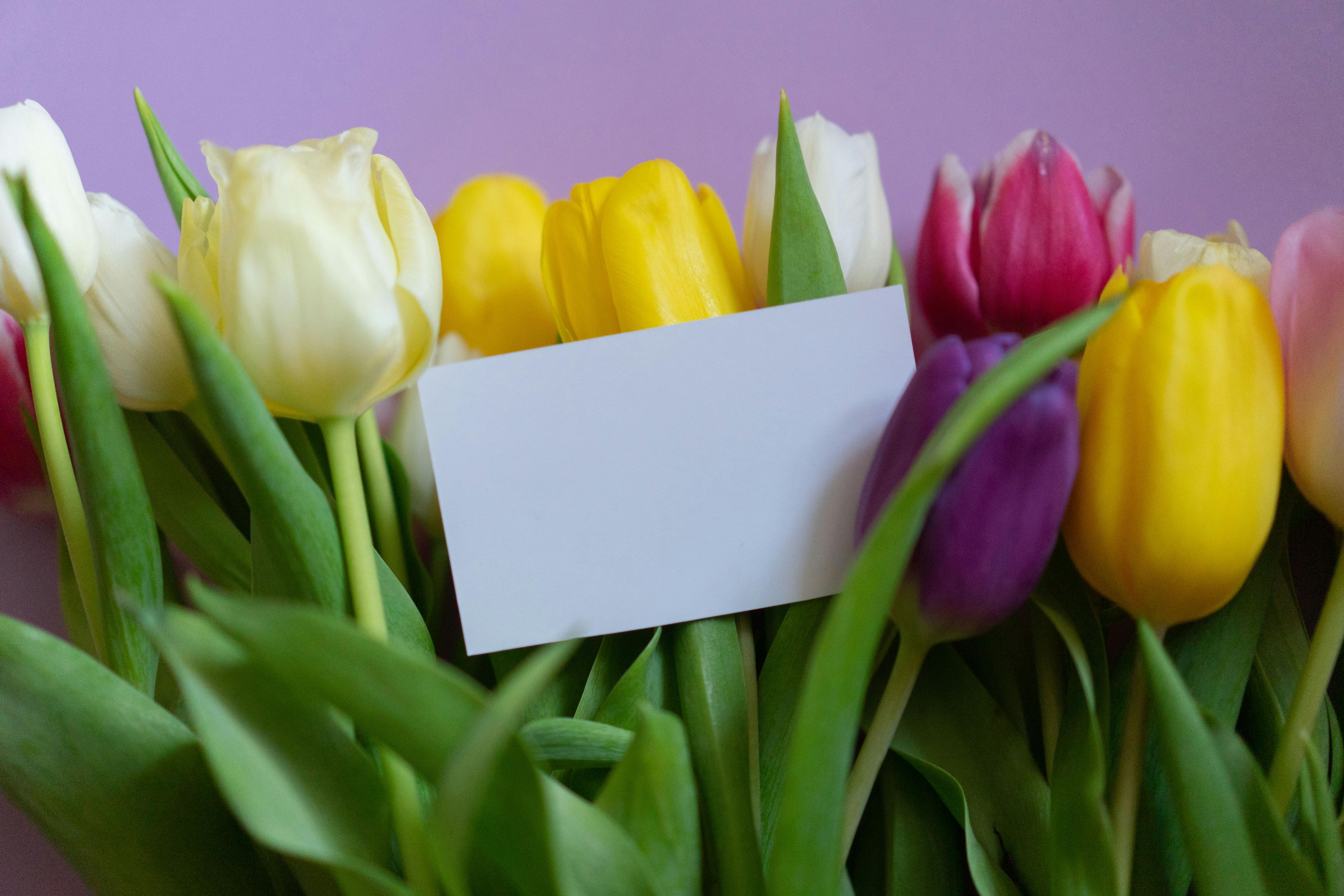 Une carte avec des fleurs | Source : Pexels