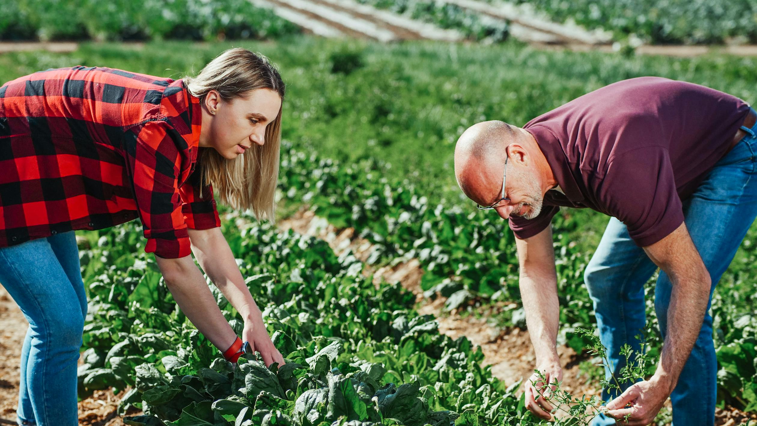 Un homme et une femme travaillant dans une ferme | Source : Pexels