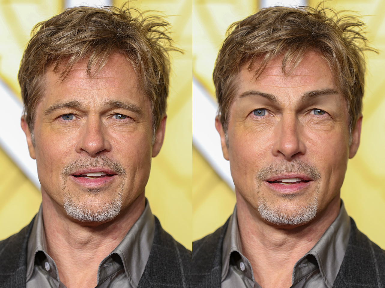 Le vrai Brad Pitt contre son moi idéal | Source : Getty Images