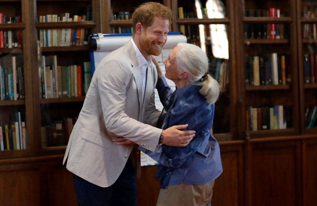 Le prince Harry, duc de Sussex et le Dr. Jane Goodall s'embrassent alors qu'il assiste à la Roots & Shoots Global Leadership Meeting du Dr. Jane Goodall au Windsor Castle | Photo : Getty Images