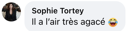 Commentaire d'internaute sur la vidéo d'Arielle Dombasle et Bernard-Henri Lévy | Source : capture Facebook@Arielle Dombasle