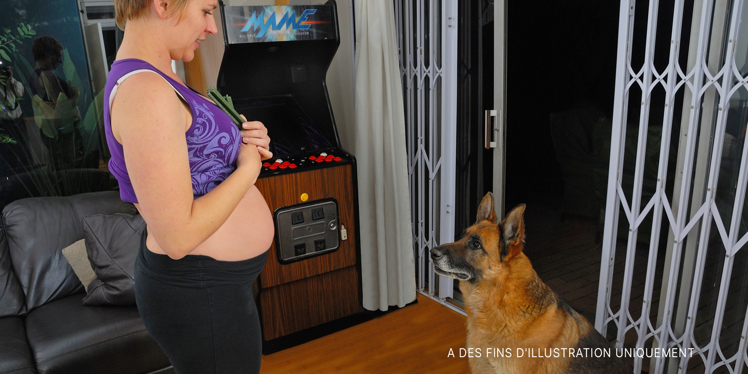 Un berger allemand regarde une femme enceinte | Source : Flickr / Locutis (CC BY-SA 2.0)