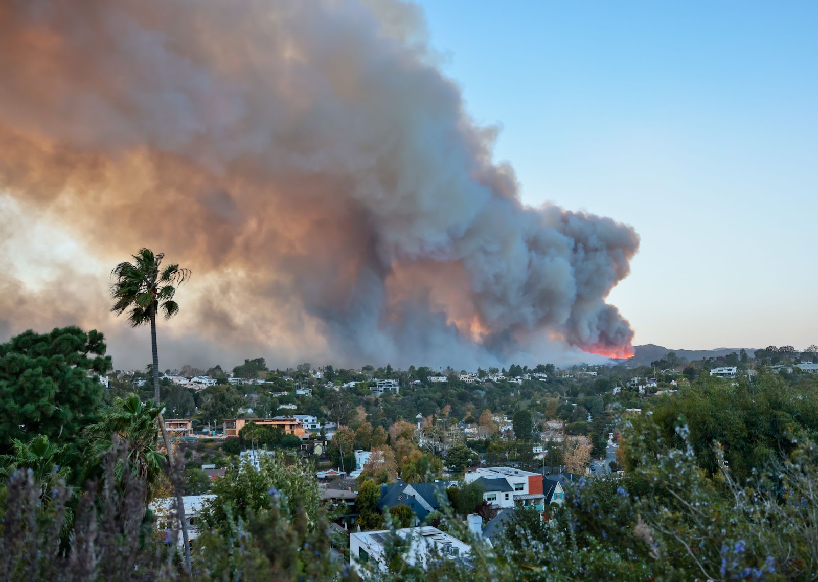 Fumée remplissant le ciel vue depuis le quartier de Pacific Palisades à Los Angeles, Californie, le 7 janvier 2025. | Source : Getty Images