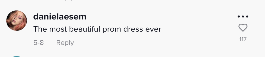 Commentaire d'un fan sur le post TikTok de Jayden Shatzer racontant comment sa grand-mère a économisé pour lui offrir sa robe de bal le 24 février 2023 | Source : TikTok/luvjaydens