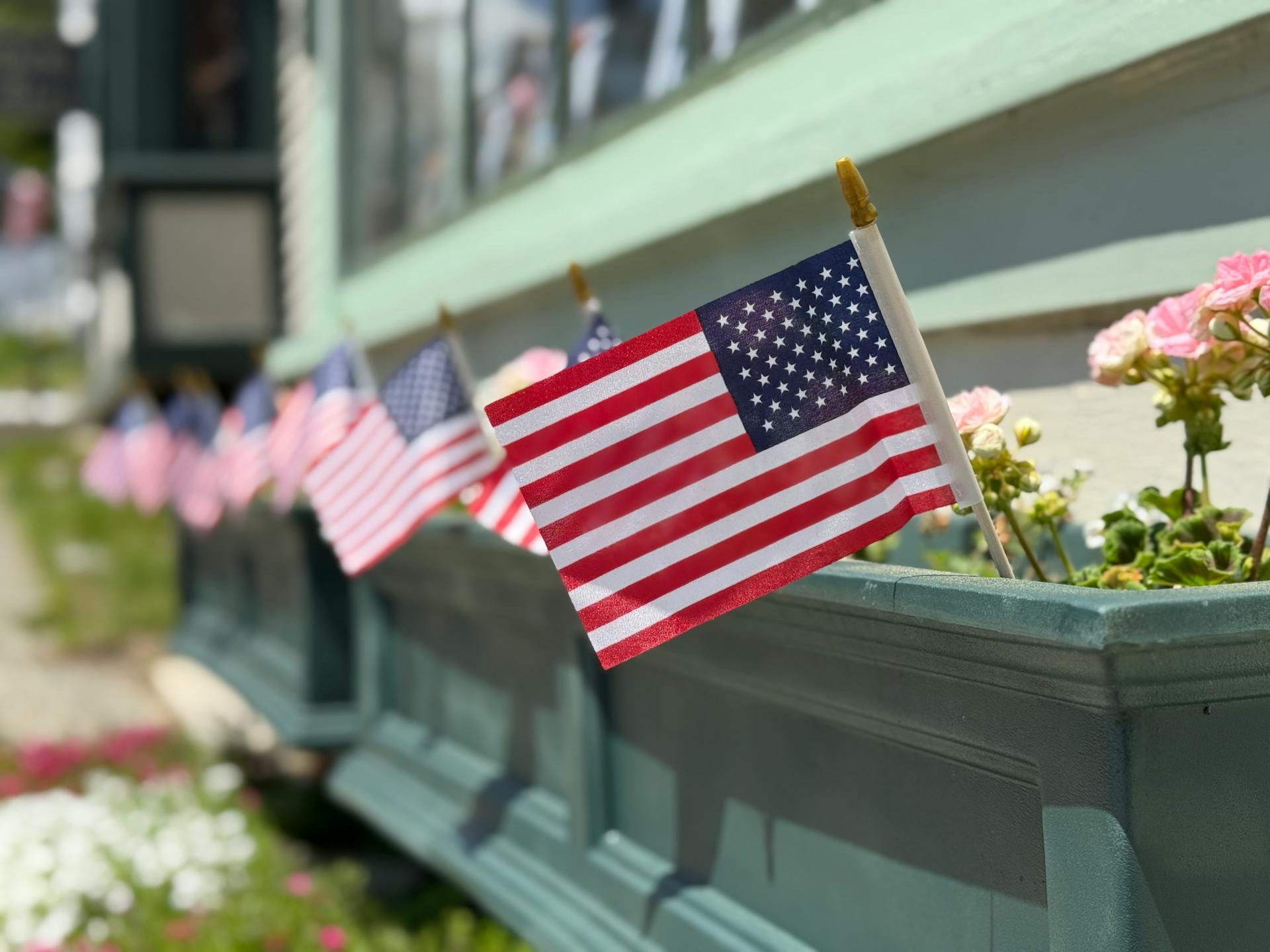 Une photo montrant des drapeaux américains placés à l'intérieur de parterres de fleurs | Source : Pexels