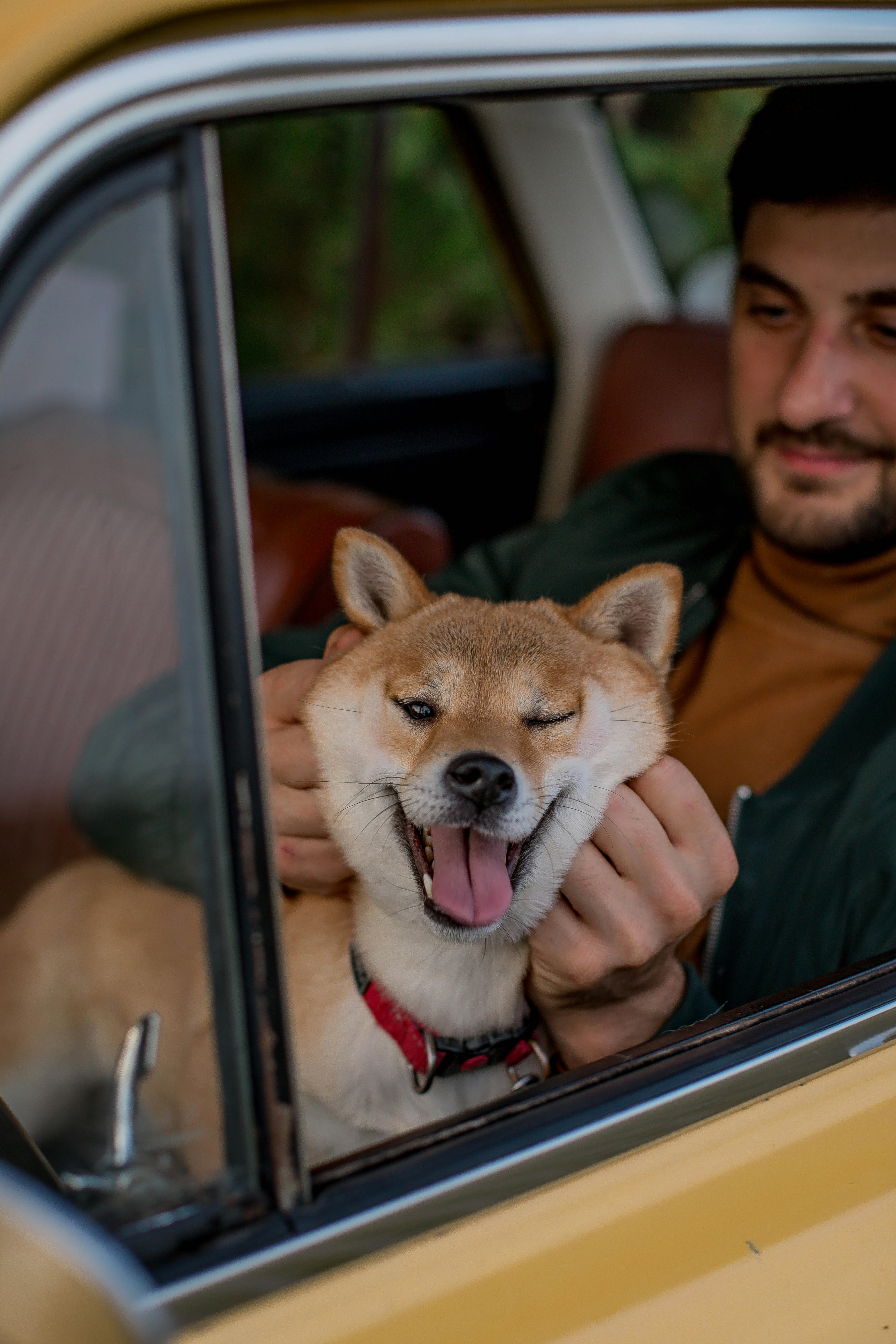 Un homme assis dans une voiture avec un chien | Source : Pexels