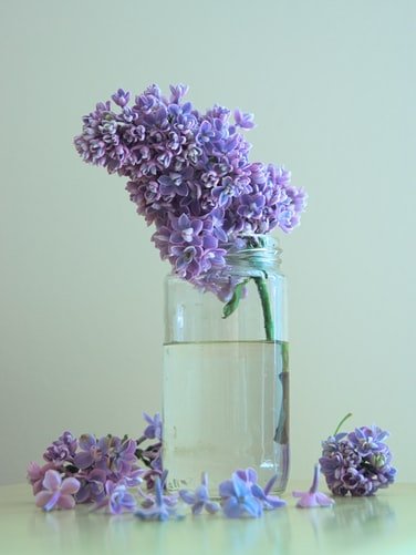 Un bouquet de lilas. | Photo : Unsplash