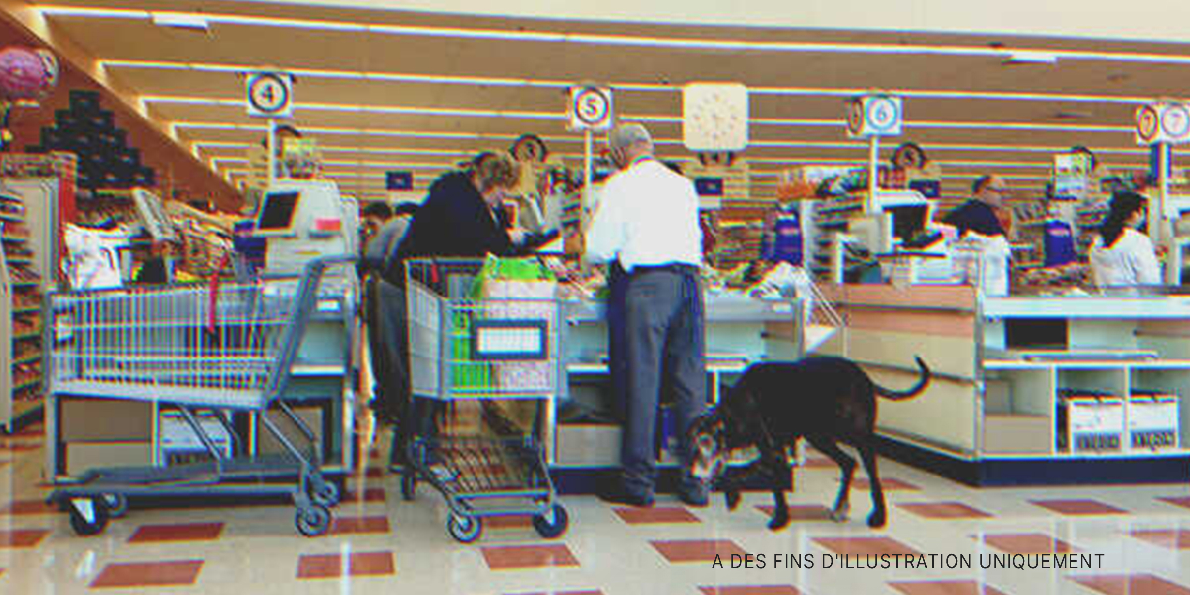 Un homme âgé avec son chien au supermarché | Source : Shutterstock