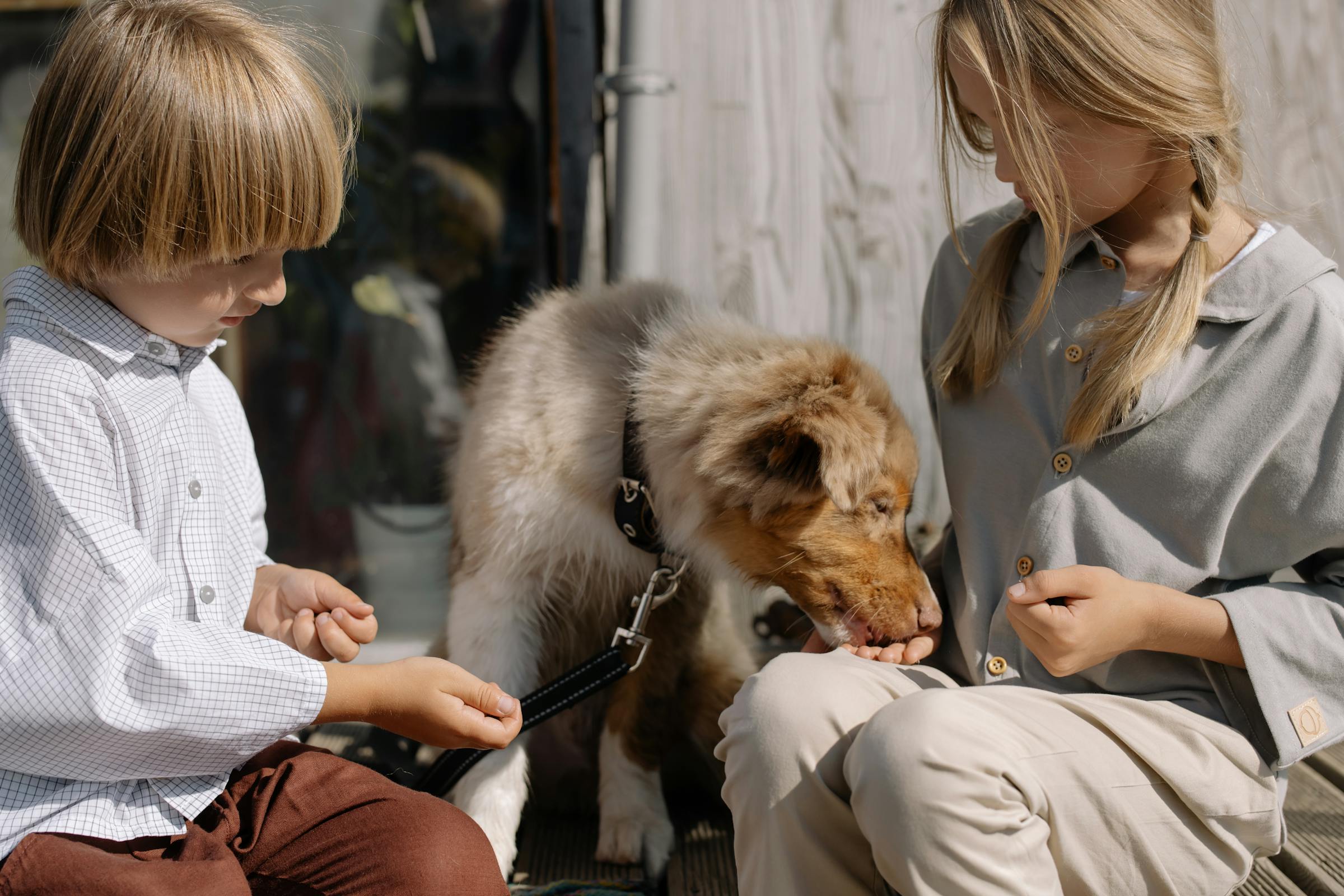 Des enfants jouent avec un chien | Source : Pexels