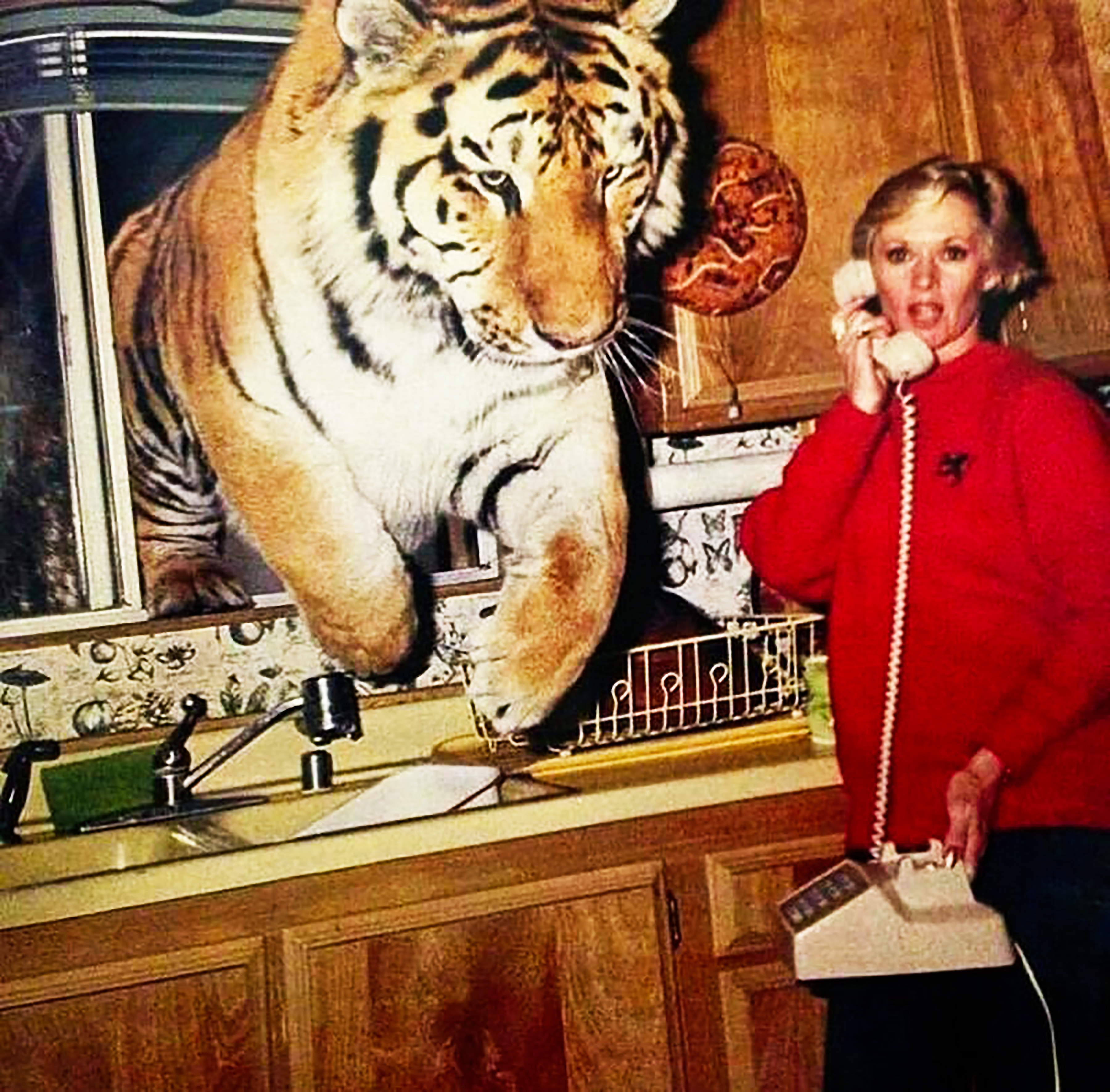 Tippi Hedren et un tigre nommé Zoe dans la cuisine de sa maison d'Acton, en Californie, en 1994. | Source : Getty Images