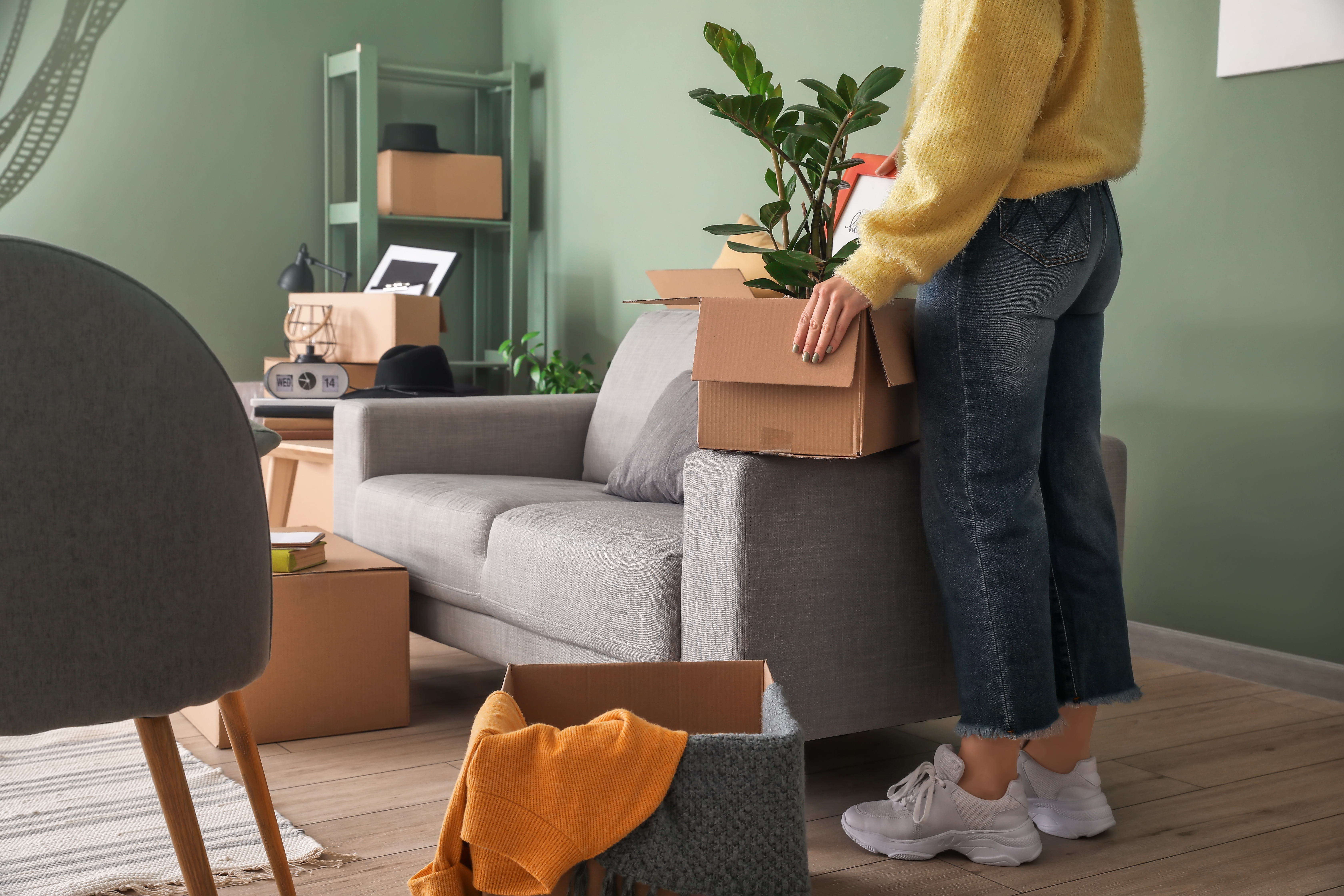 Une femme tenant une boîte en carton avec une plante | Source : Shutterstock