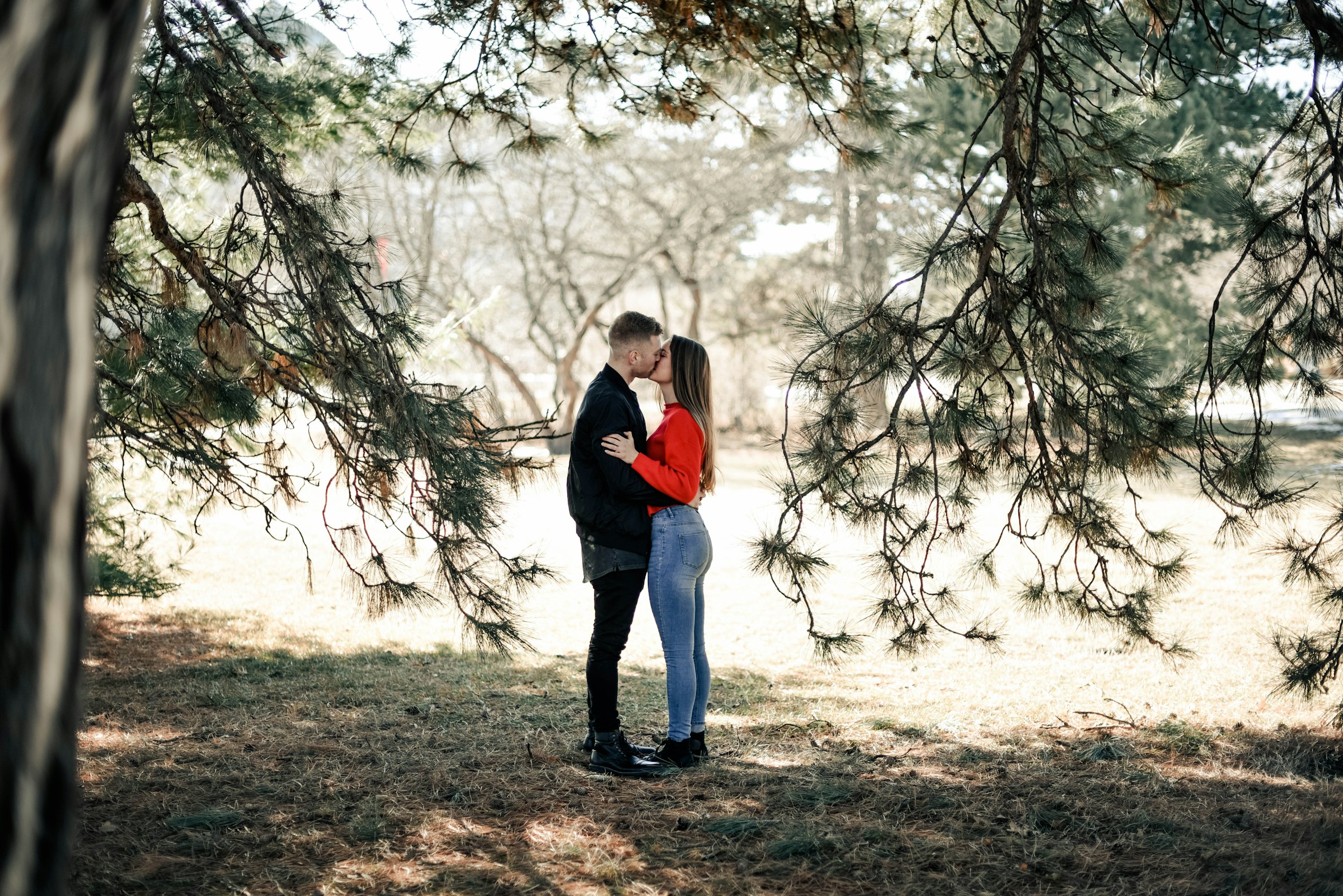Couple s'embrassant dans une forêt | Source : Unsplash