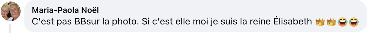Commentaire d'un internaute | Source : Facebook/Télé Loisirs