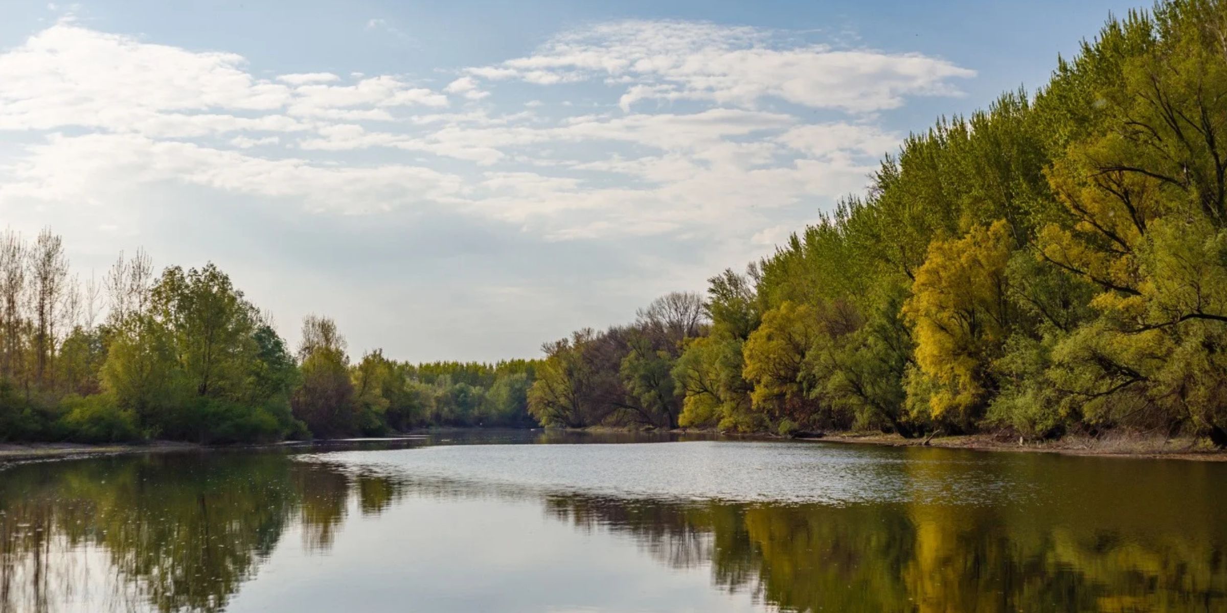 Une rivière paisible | Source : Magnific