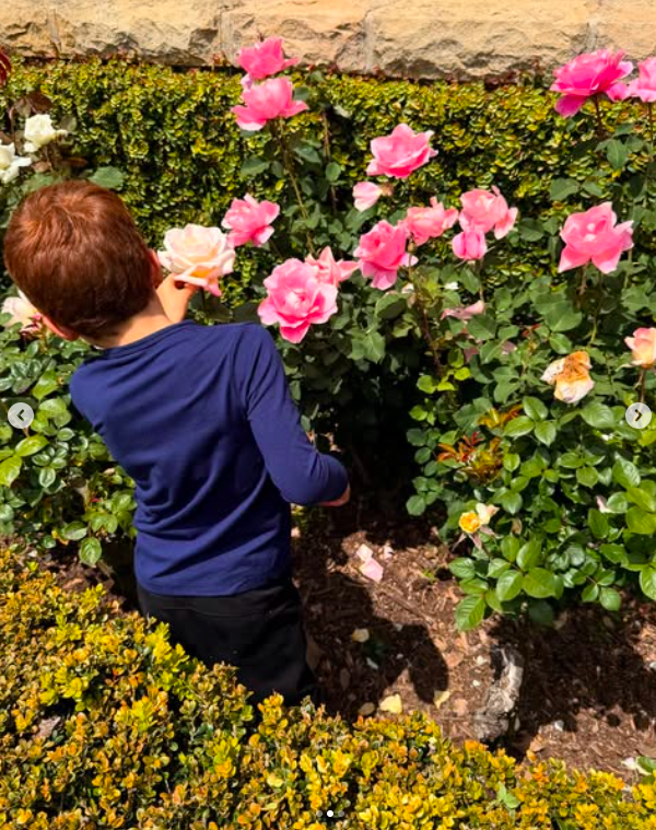Prince Archie regardant des roses, posté le 28 avril 2025. | Source : Instagram/meghan