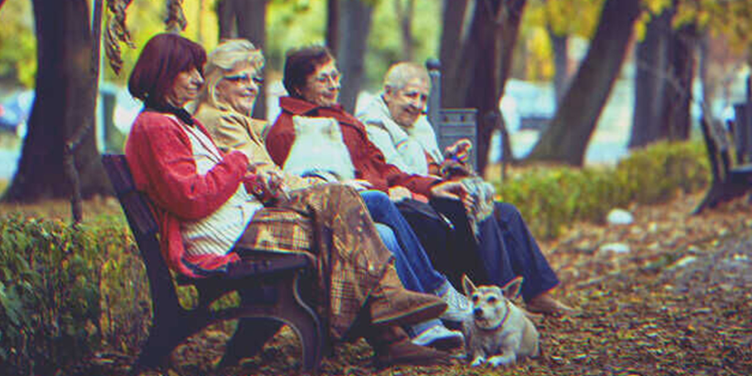 Des dames âgées sur un banc | Shutterstock