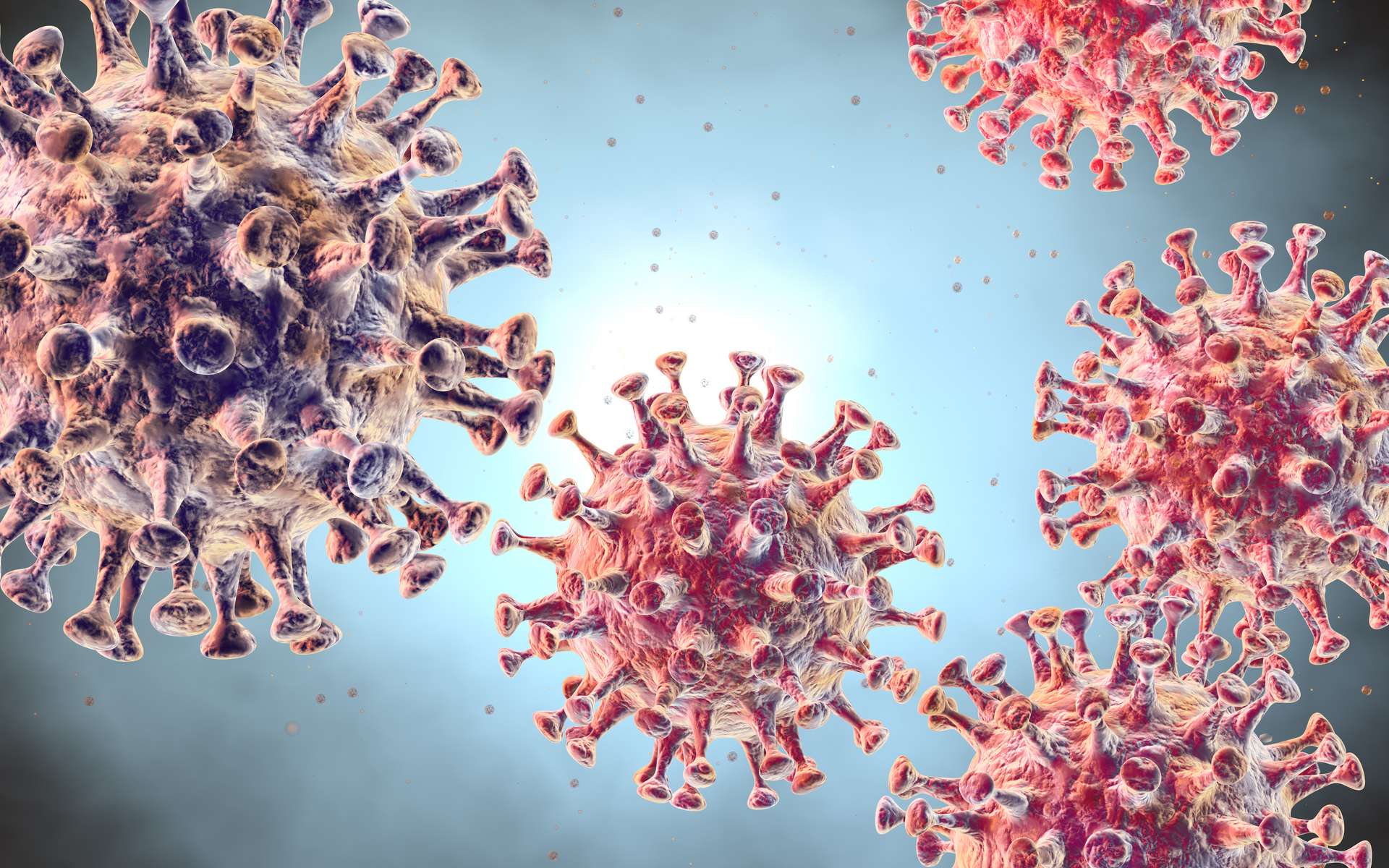 Image illustrant le virus de la Covid-19 | Photo : Getty Image