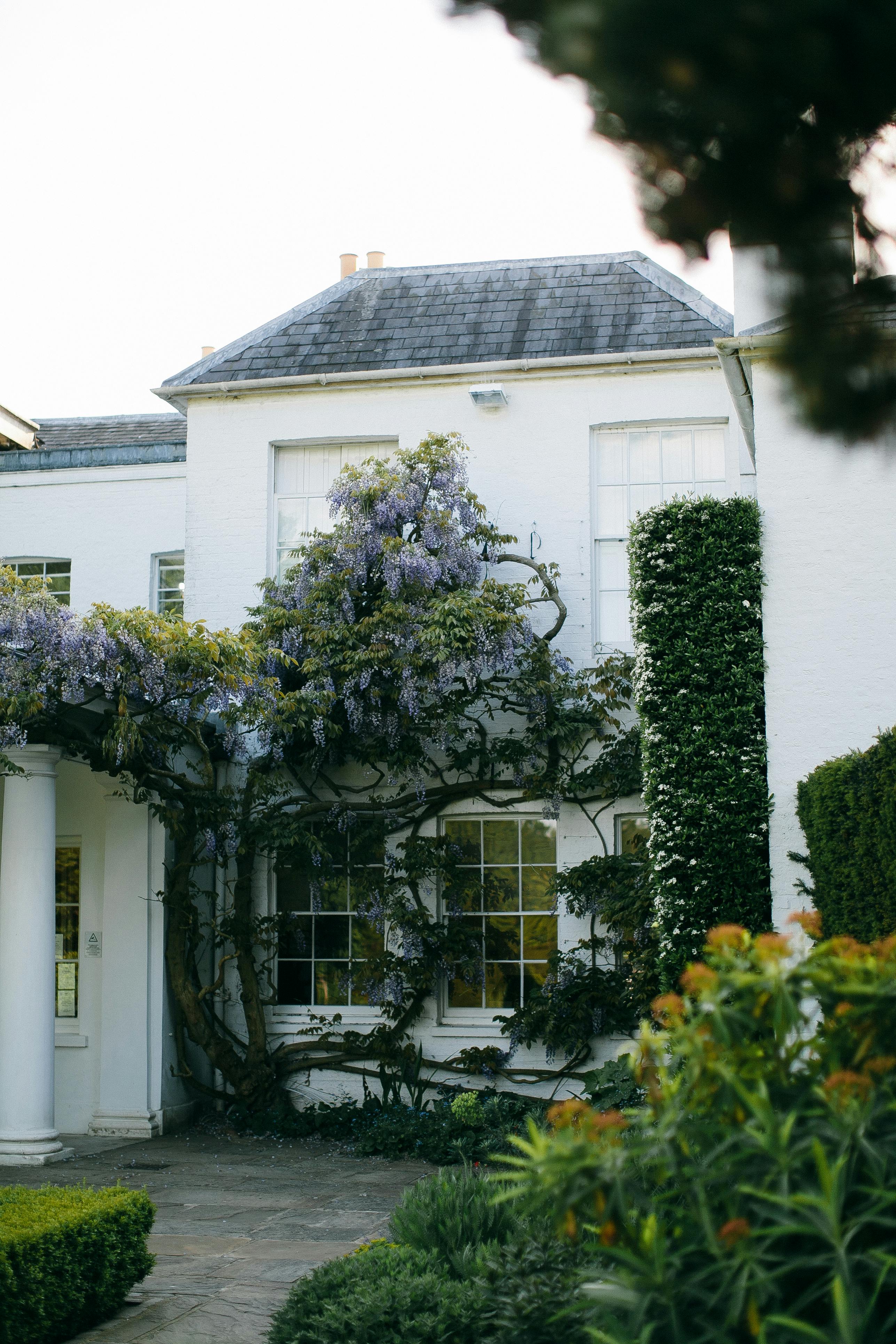 Un manoir en béton blanc avec des plantes vertes | Source : Pexels