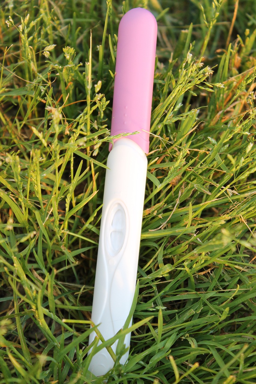 Un test de grossesse sur de l'herbe | Source : Pixabay
