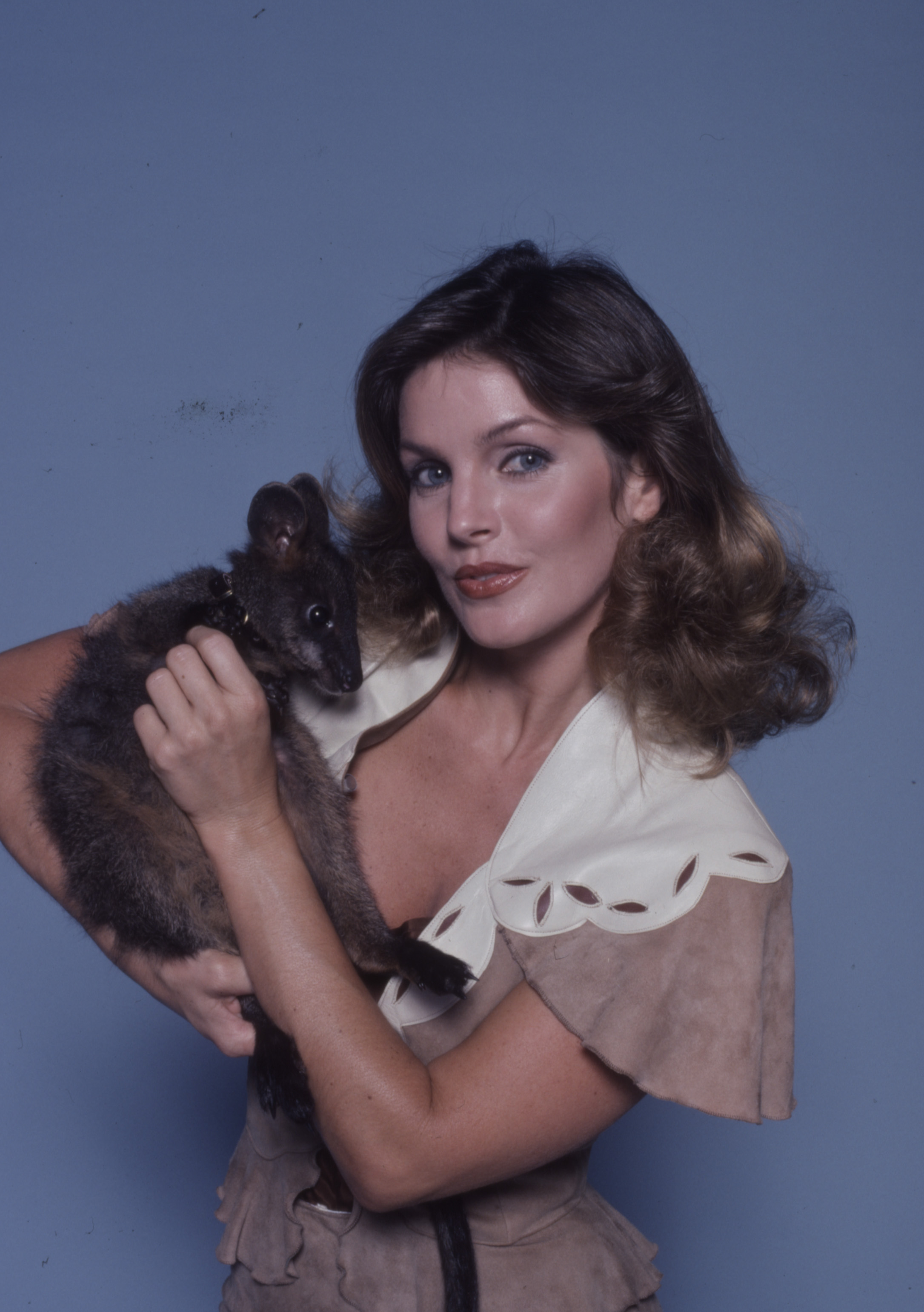 Priscilla Presley photo promotionnelle pour la série télévisée ABC "Those Amazing Animals" à Los Angeles, Californie, en 1980. | Source : Getty Images