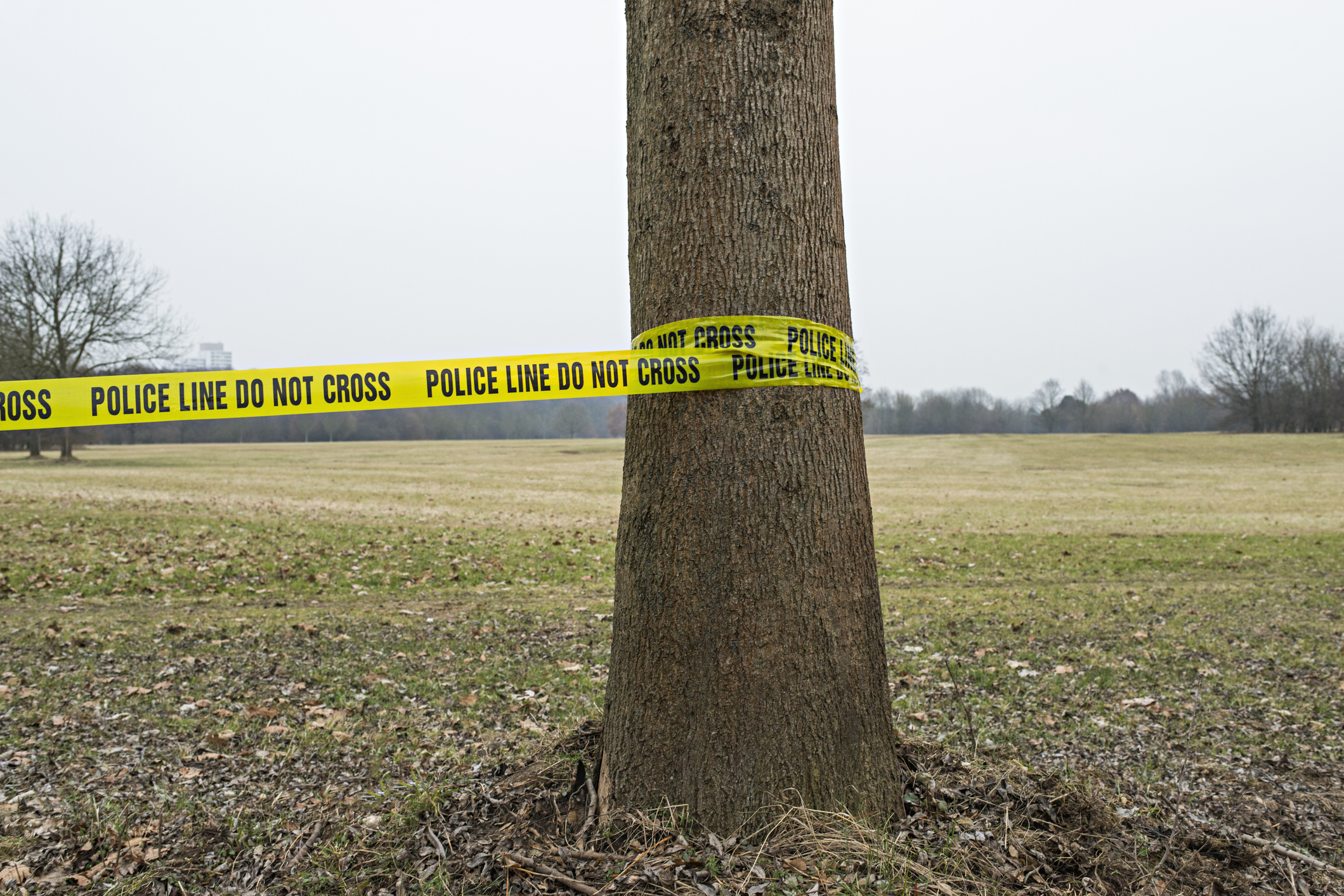 Photo d'archive I Source : Getty Images