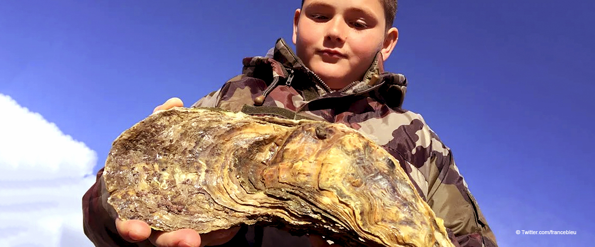 Une découverte inattendue en Vendée : le fils d'un ostréiculteur a trouvé une huître "oubliée" de plus de 30 ans