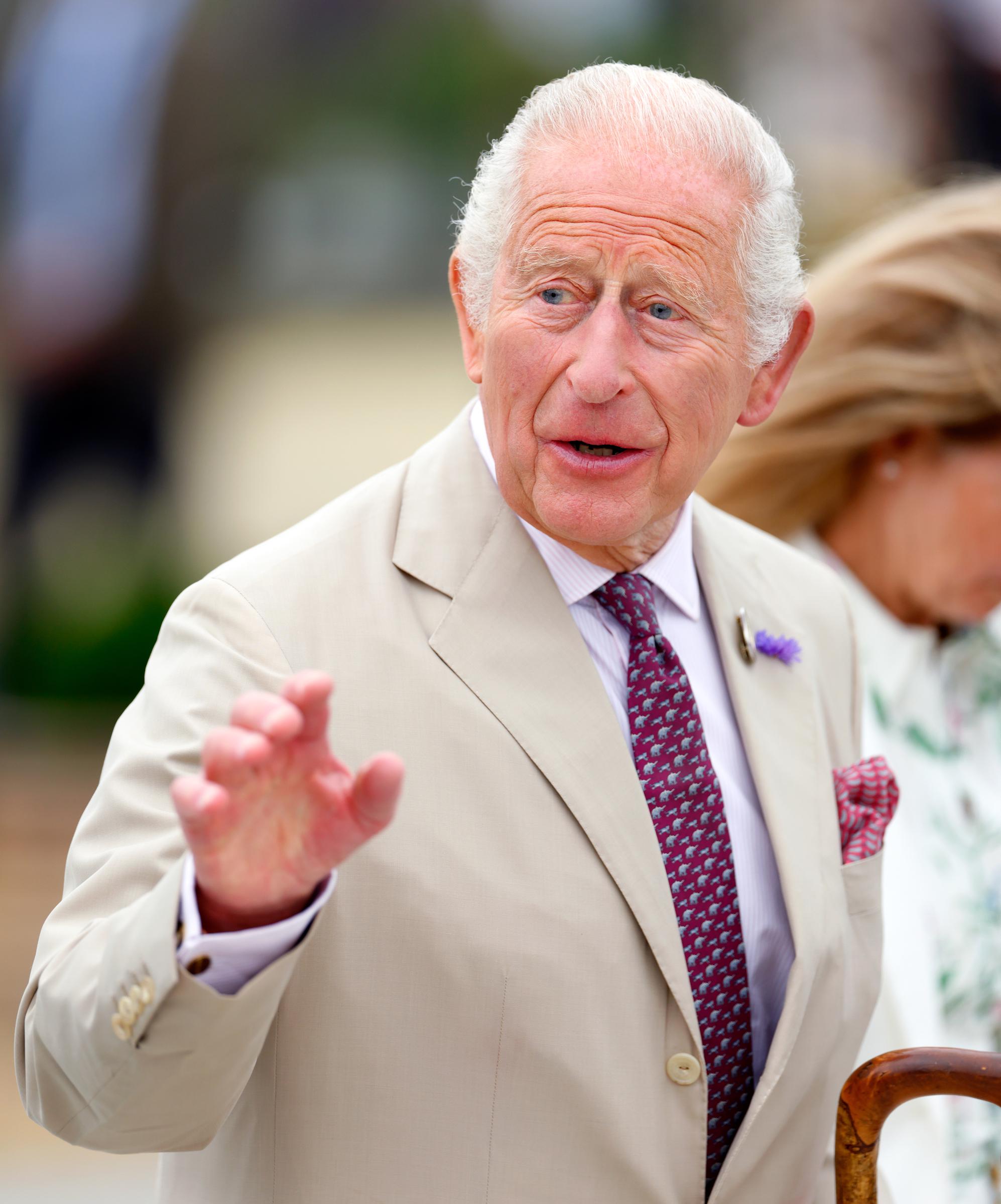 Le roi Charles III a été photographié au salon floral RHS de Sandringham en juillet 2026. Le mois suivant, CNN a rapporté qu’il se réjouissait à l’idée de passer plus de temps en privé avec la famille Sussex. | Source : Getty Images