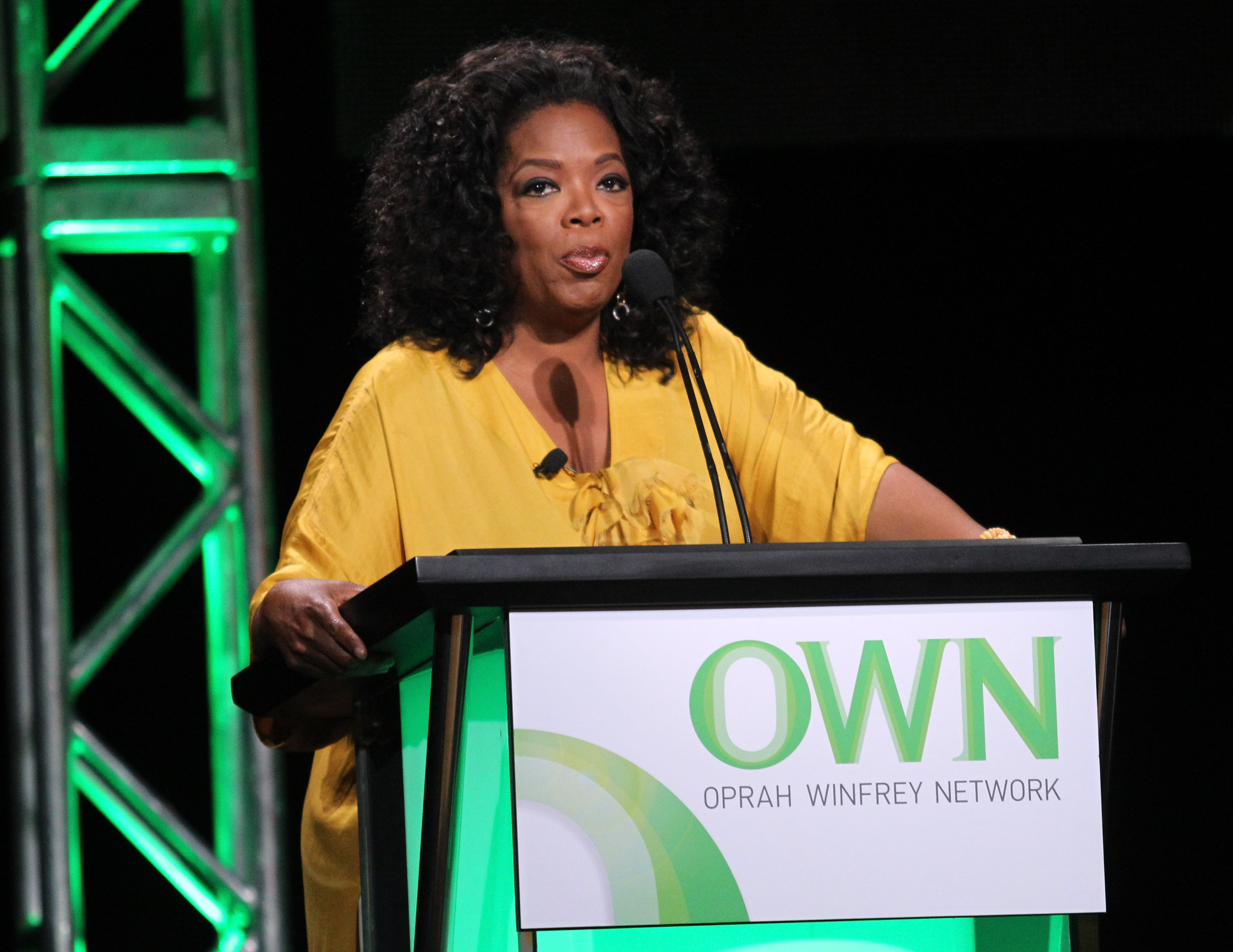 L'animatrice de télévision Oprah Winfrey discutant pendant le panel "The Rosie Show" pendant la partie OWN de la tournée TCA d'été 2011 à l'hôtel Beverly Hilton le 29 juillet 2011 à Beverly Hills, Californie | Source : Getty Images