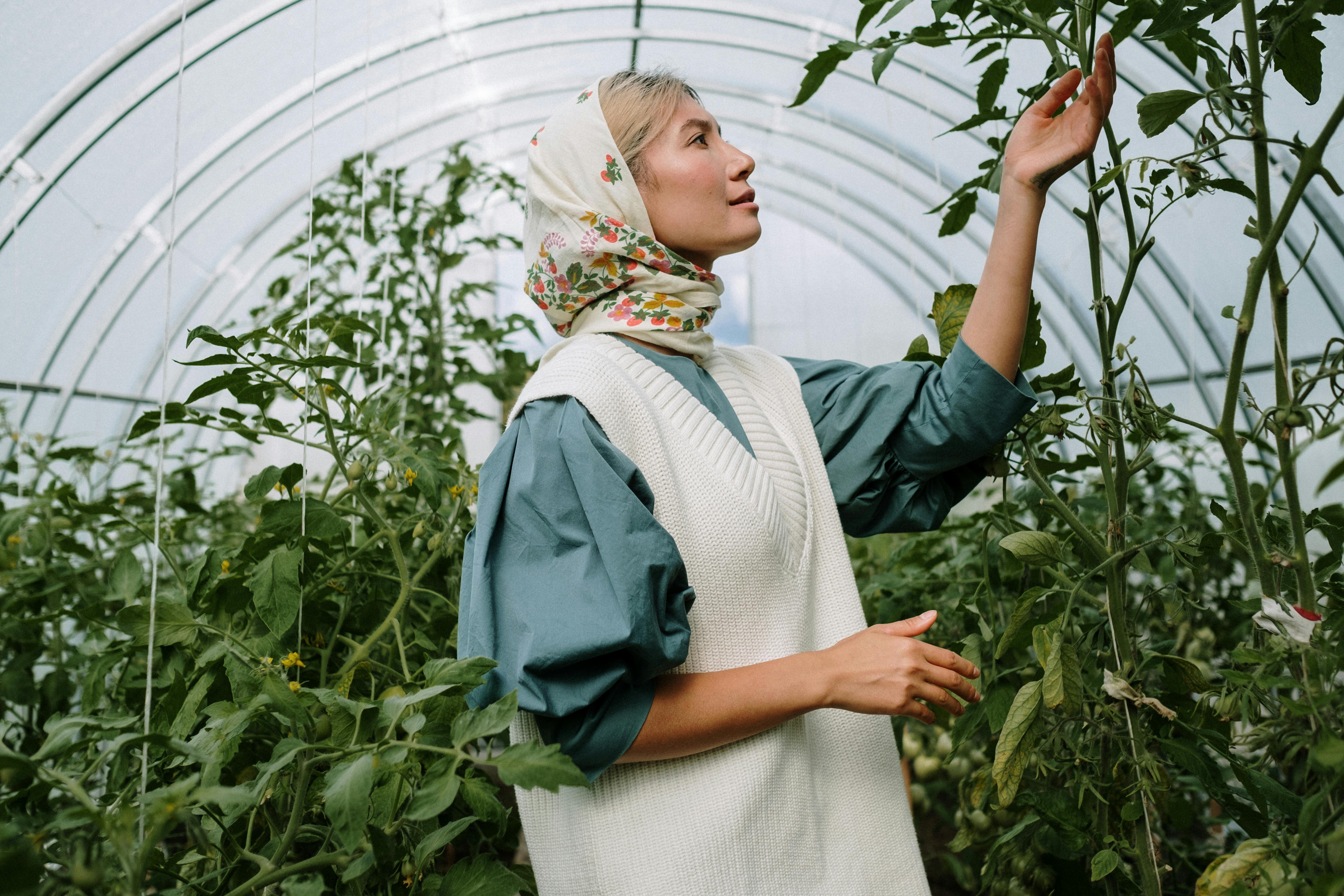 Une femme vérifie les feuilles d'une plante | Source : Pexels