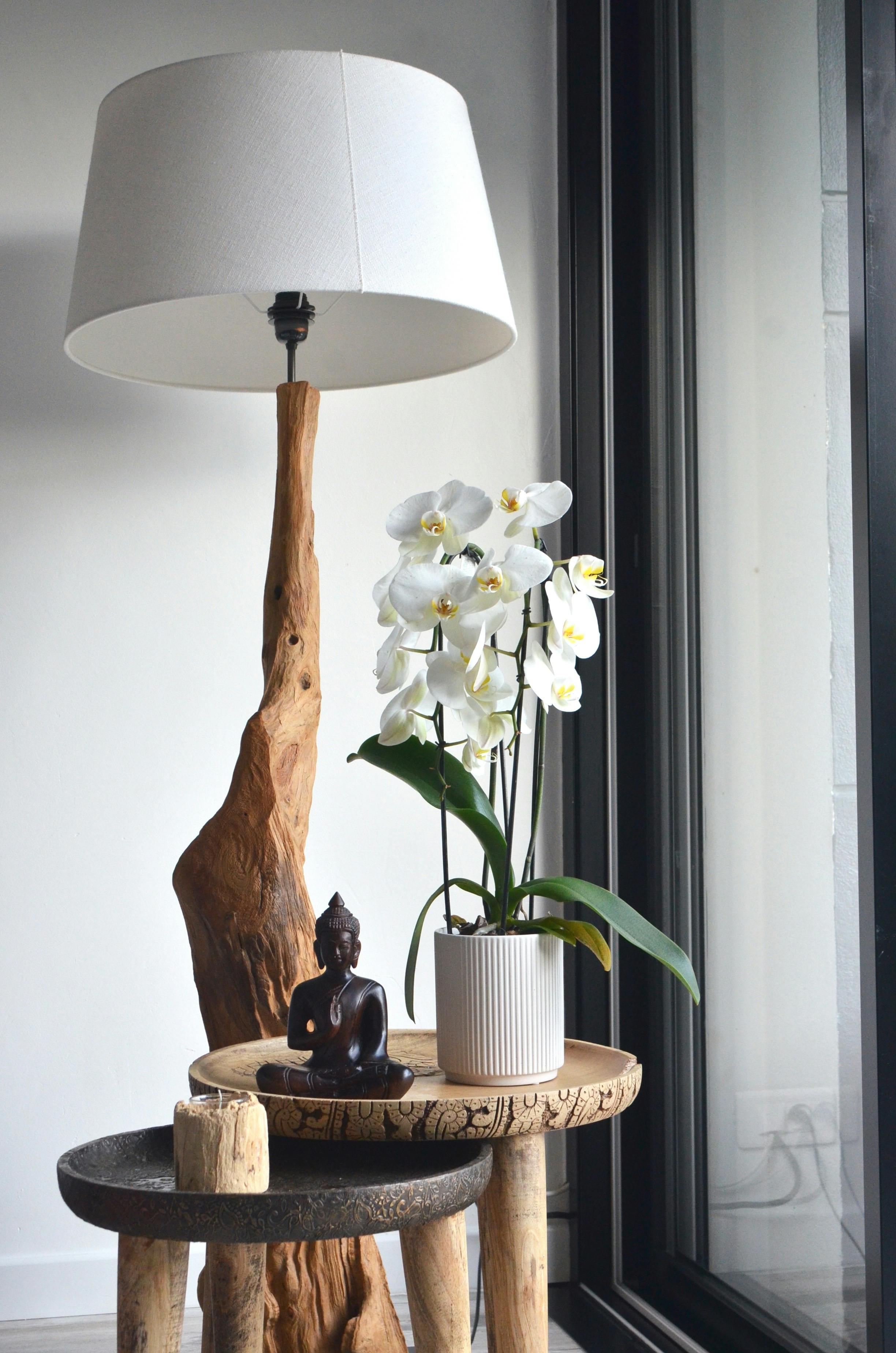 A potted orchid plant placed near a statue and a lamp | Source: Pexels